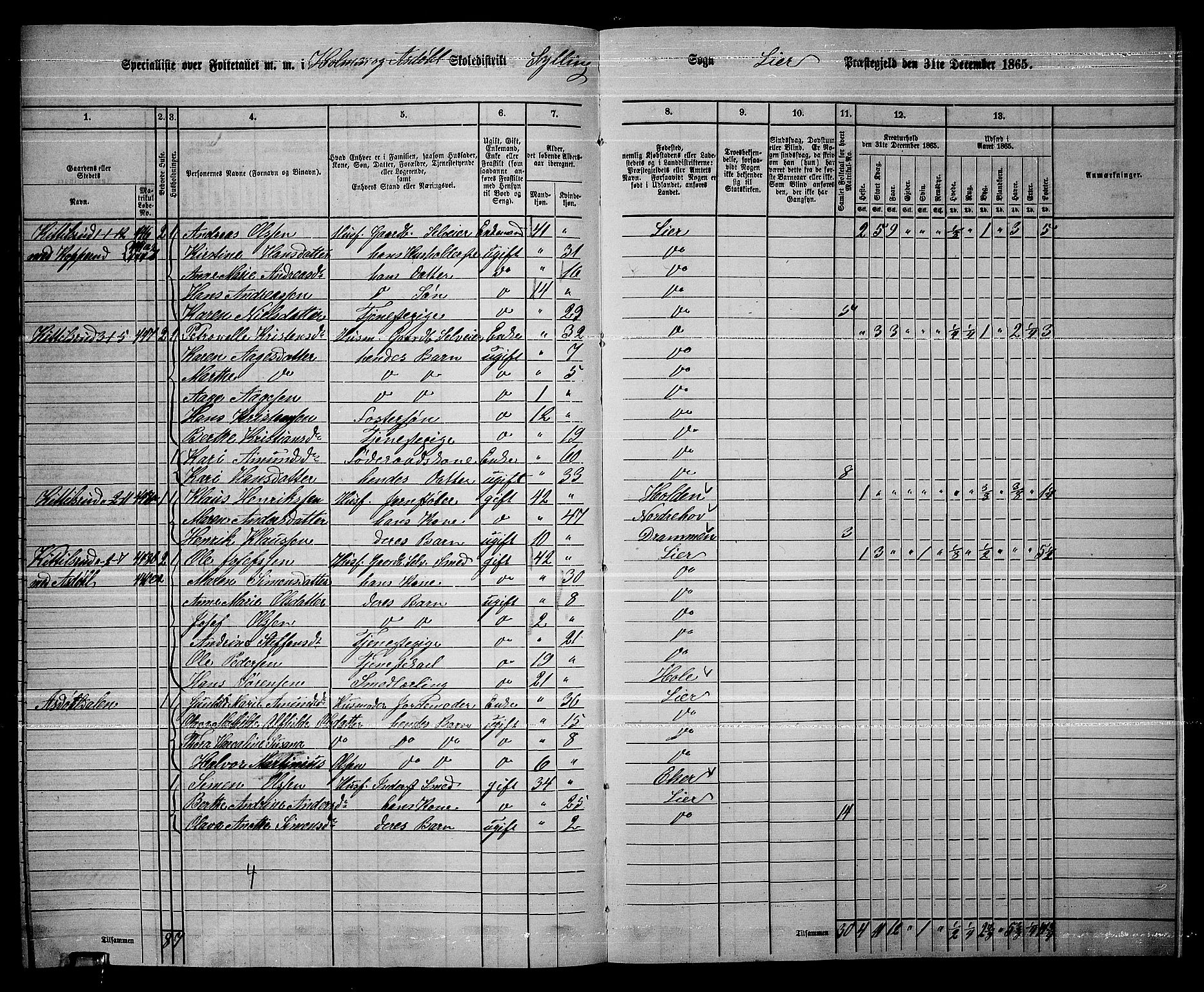 RA, 1865 census for Lier, 1865, p. 249