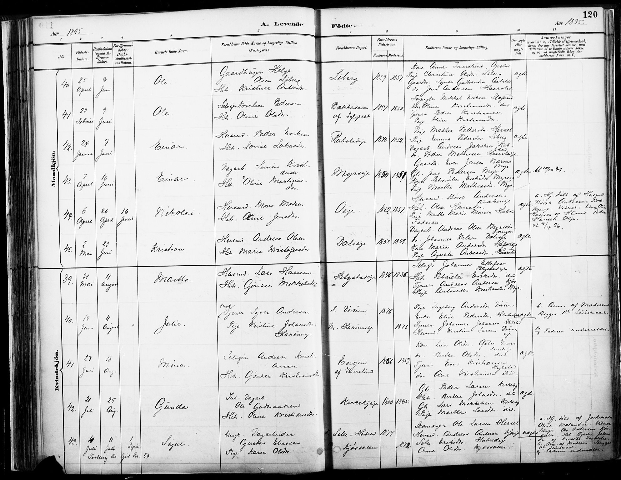 Vang prestekontor, Hedmark, AV/SAH-PREST-008/H/Ha/Haa/L0019A: Parish register (official) no. 19, 1886-1900, p. 120