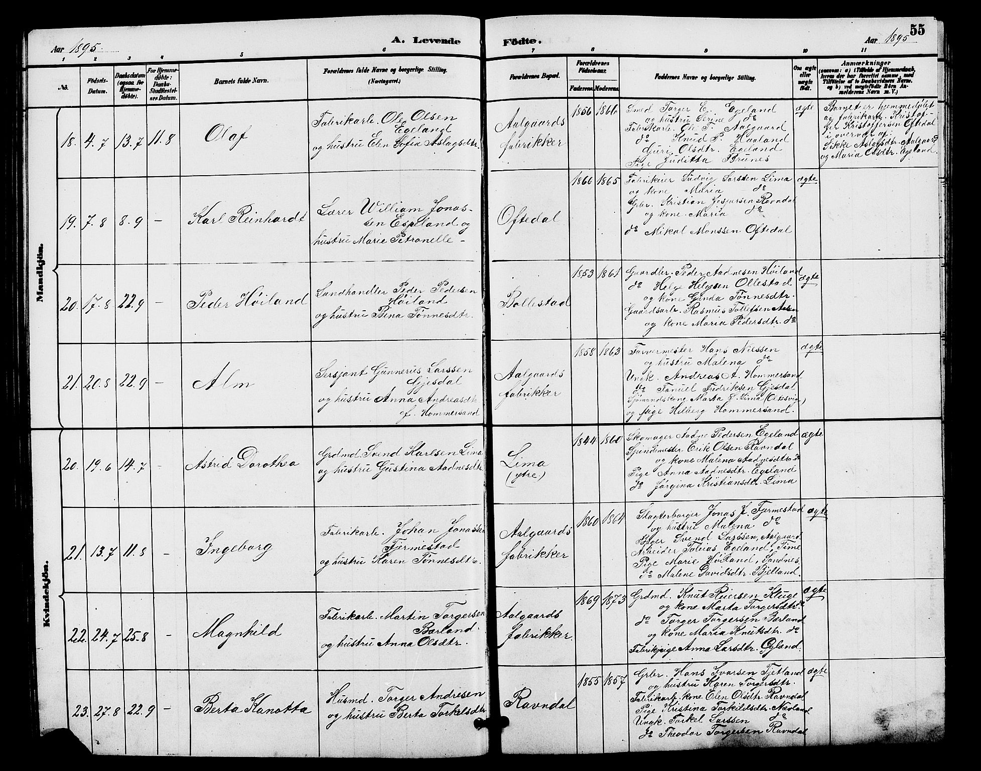 Lye sokneprestkontor, AV/SAST-A-101794/001/30BB/L0008: Parish register (copy) no. B 7, 1887-1901, p. 55