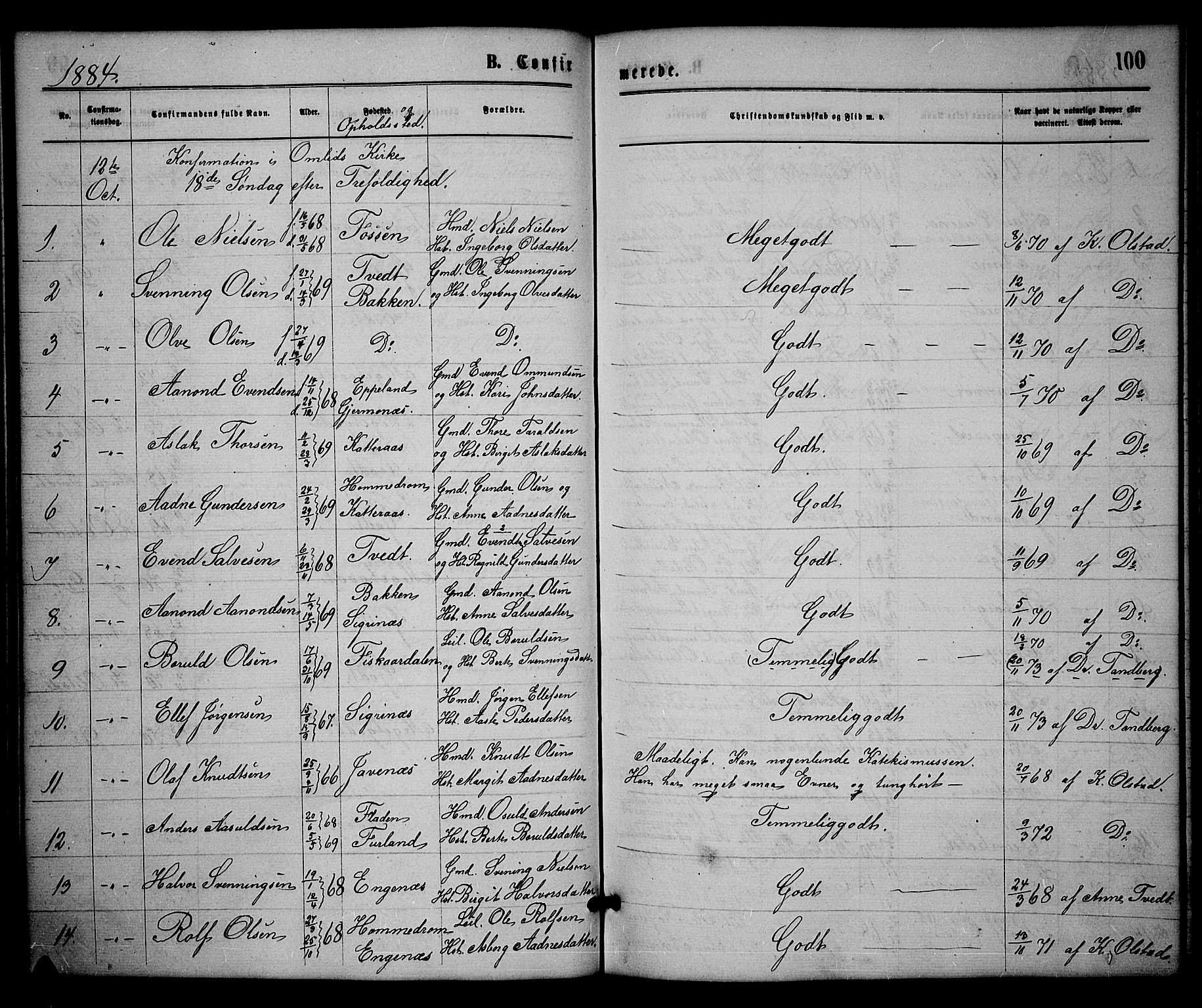Åmli sokneprestkontor, SAK/1111-0050/F/Fb/Fbc/L0003: Parish register (copy) no. B 3, 1868-1888, p. 100