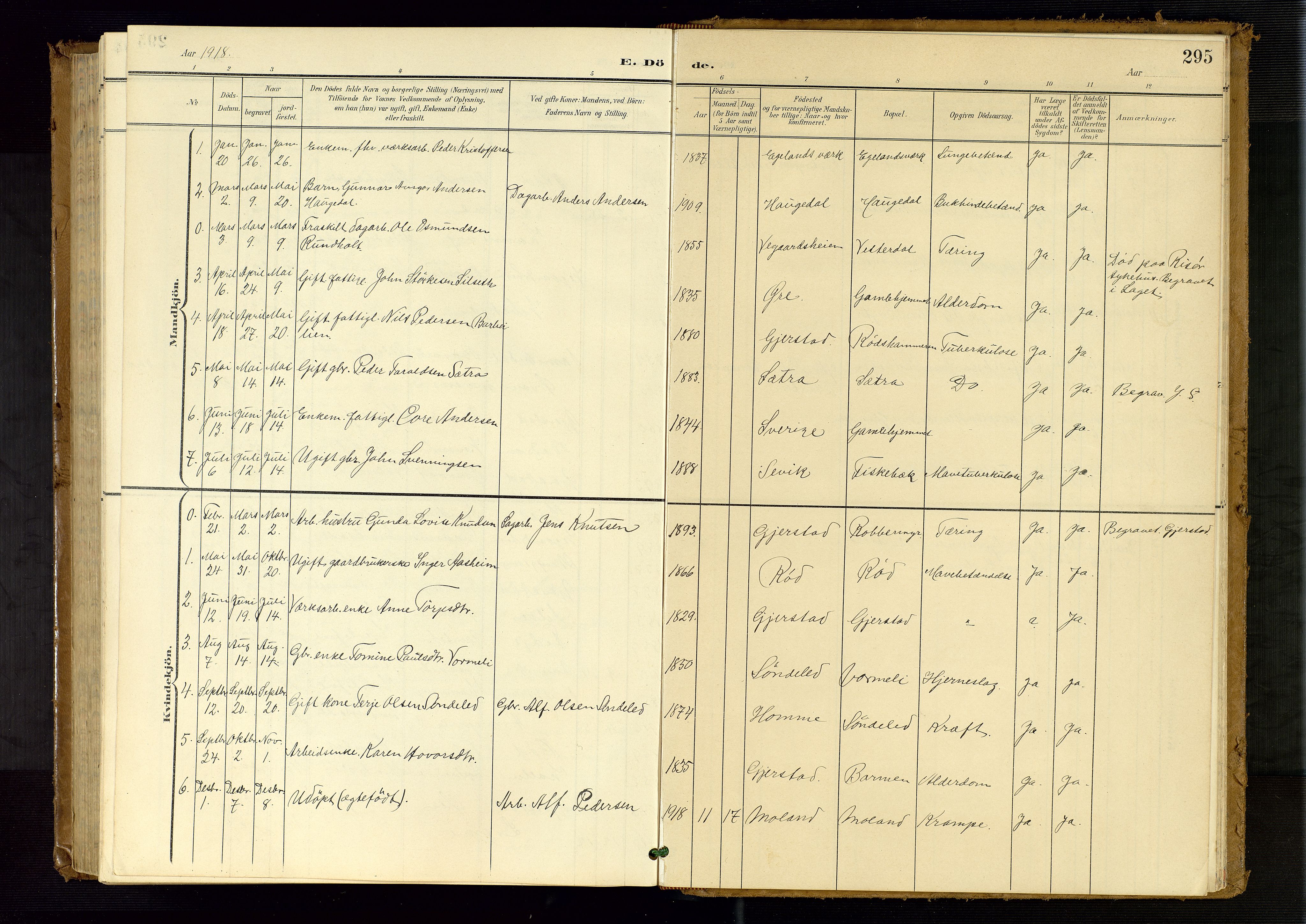 Søndeled sokneprestkontor, SAK/1111-0038/F/Fb/L0005: Parish register (copy) no. B 6, 1900-1962, p. 295