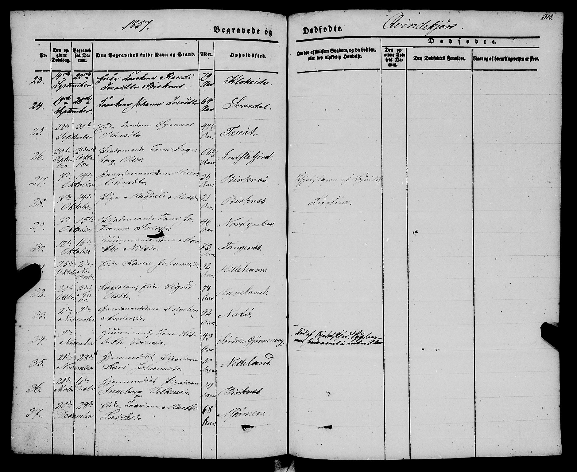 Gulen sokneprestembete, SAB/A-80201/H/Haa/Haaa/L0021: Parish register (official) no. A 21, 1848-1858, p. 313