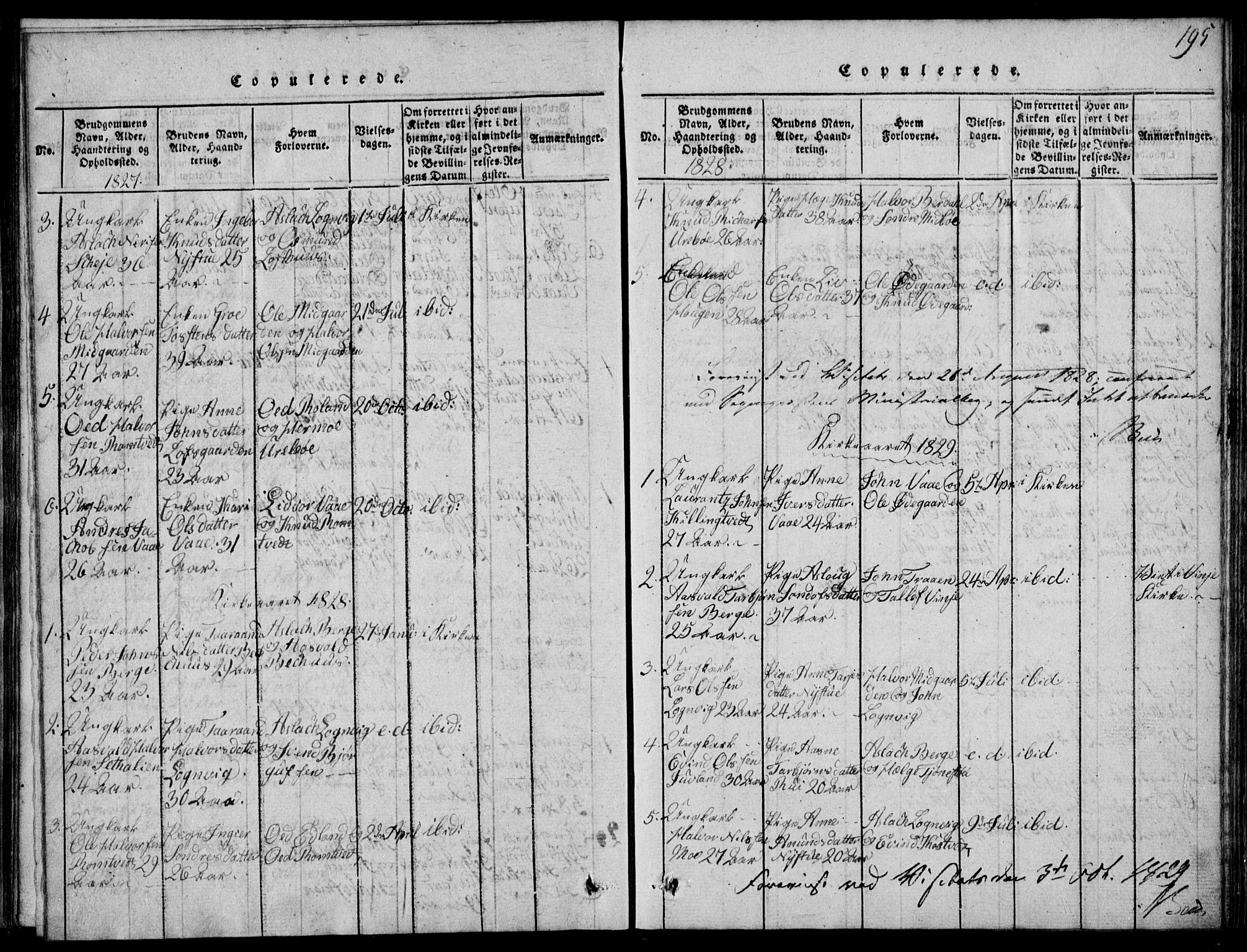 Rauland kirkebøker, SAKO/A-292/G/Ga/L0001: Parish register (copy) no. I 1, 1814-1843, p. 195