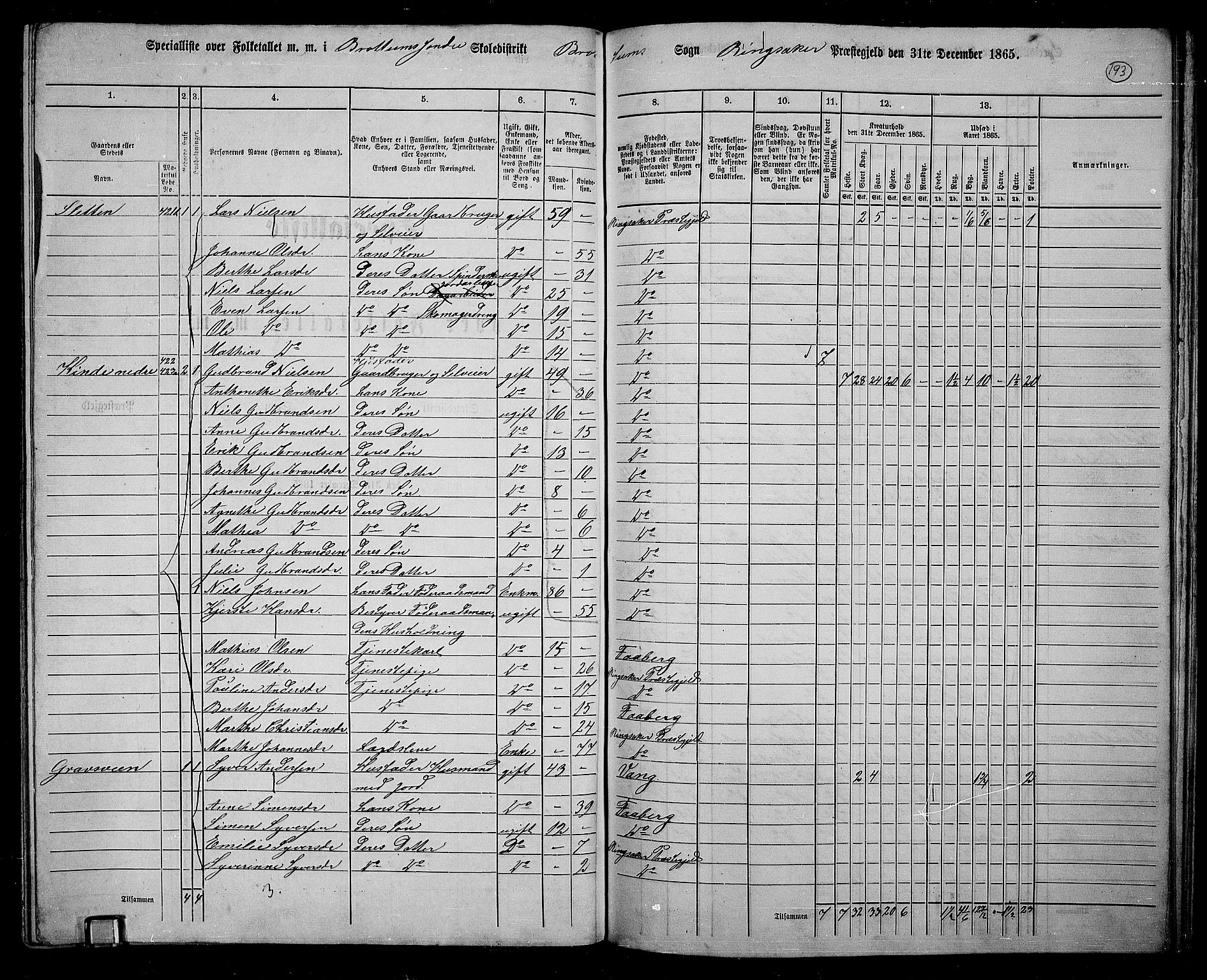 RA, 1865 census for Ringsaker, 1865, p. 435