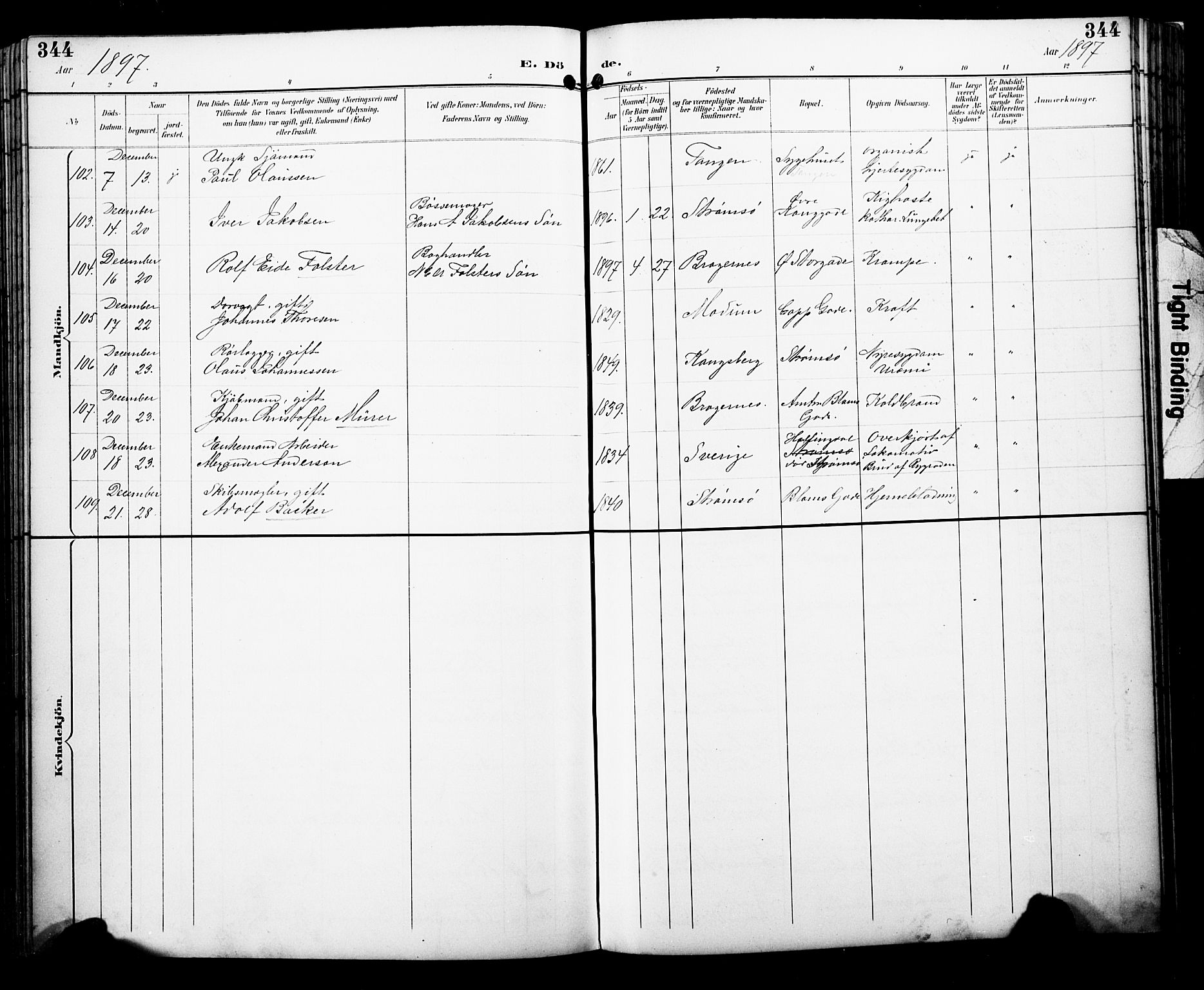 Bragernes kirkebøker, AV/SAKO-A-6/F/Fb/L0008: Parish register (official) no. II 8, 1894-1902, p. 344