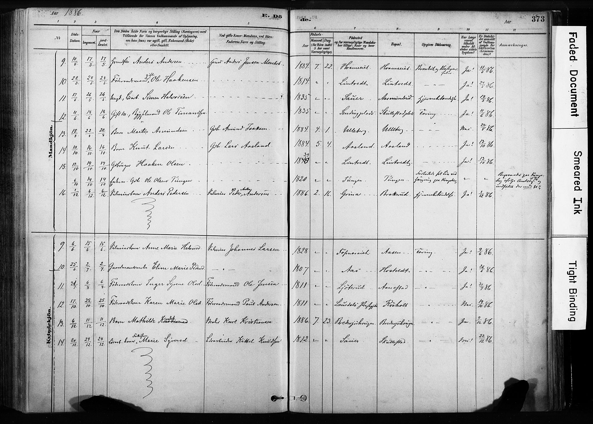 Sandsvær kirkebøker, AV/SAKO-A-244/F/Fb/L0001: Parish register (official) no. II 1, 1878-1906, p. 373