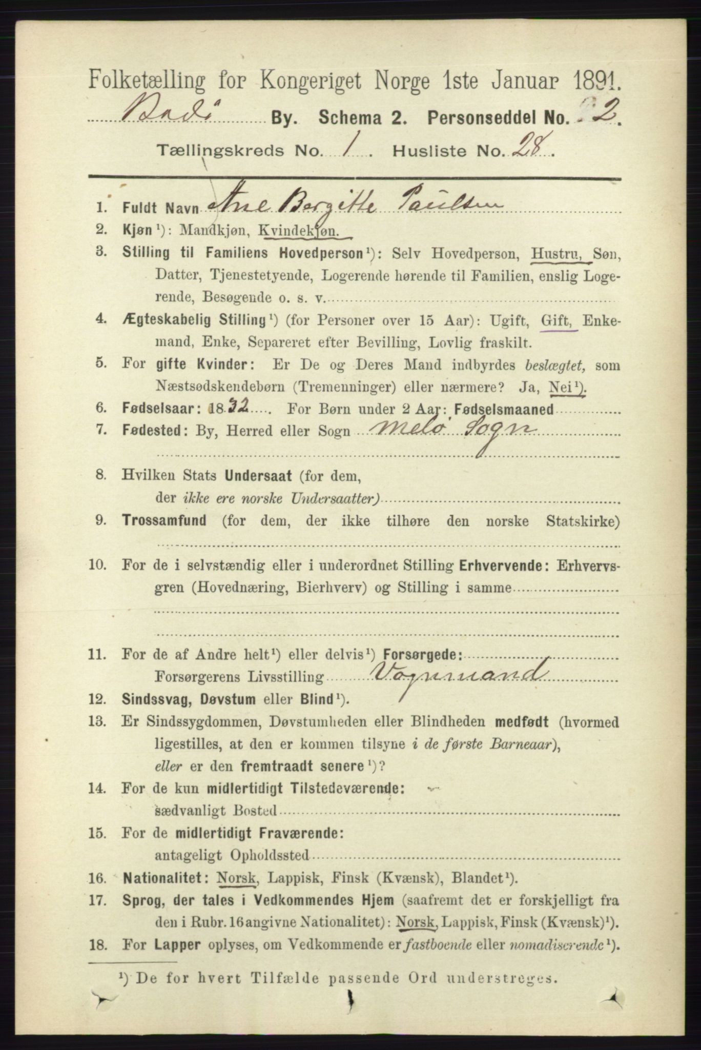 RA, 1891 census for 1804 Bodø, 1891, p. 497