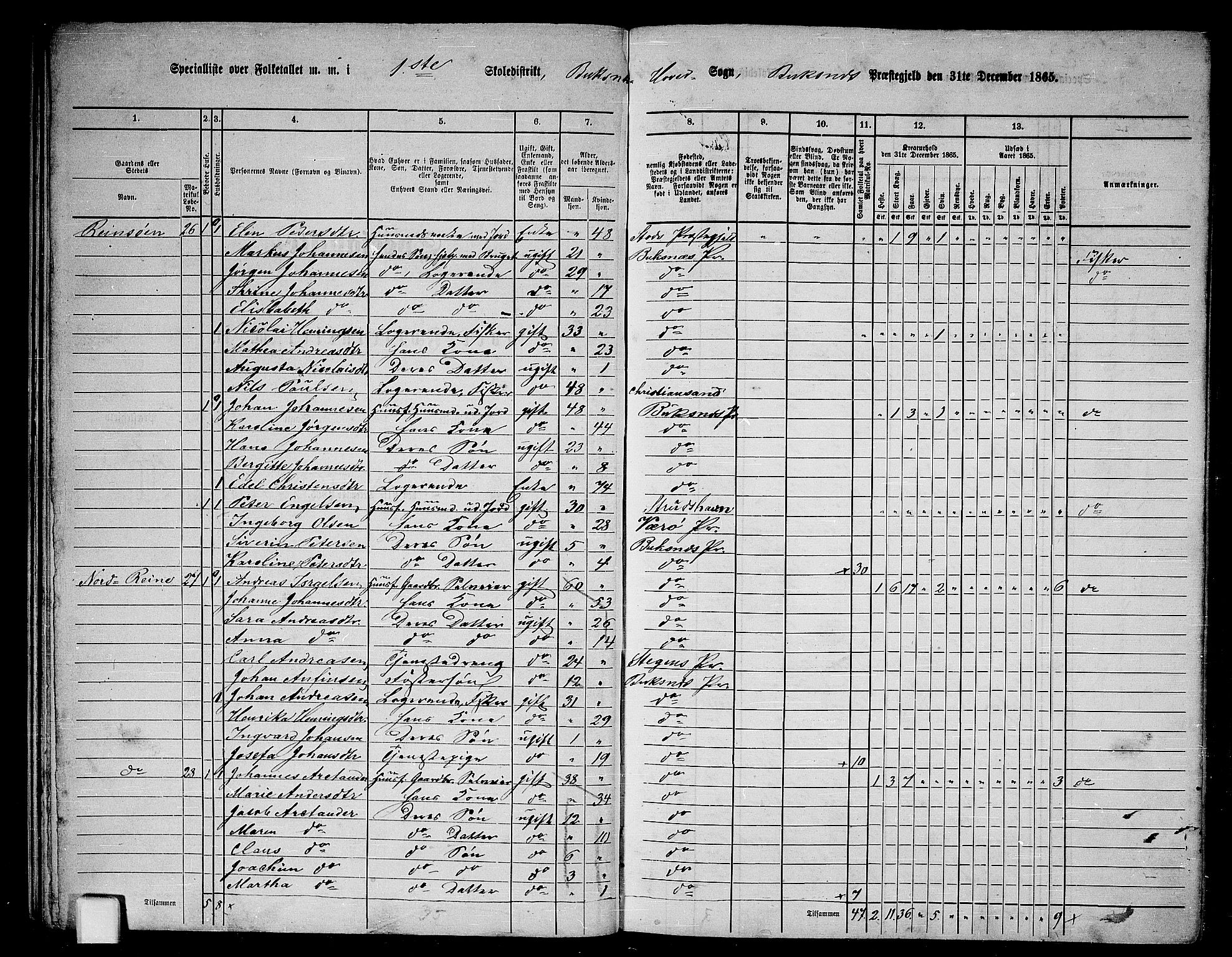 RA, 1865 census for Buksnes, 1865, p. 23