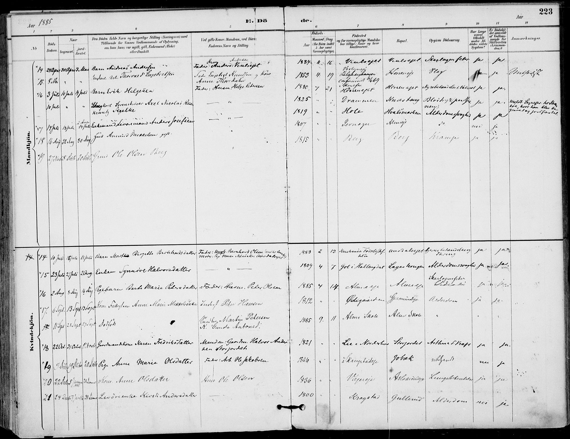 Haug kirkebøker, AV/SAKO-A-604/F/Fa/L0001: Parish register (official) no. 1, 1885-1917, p. 223