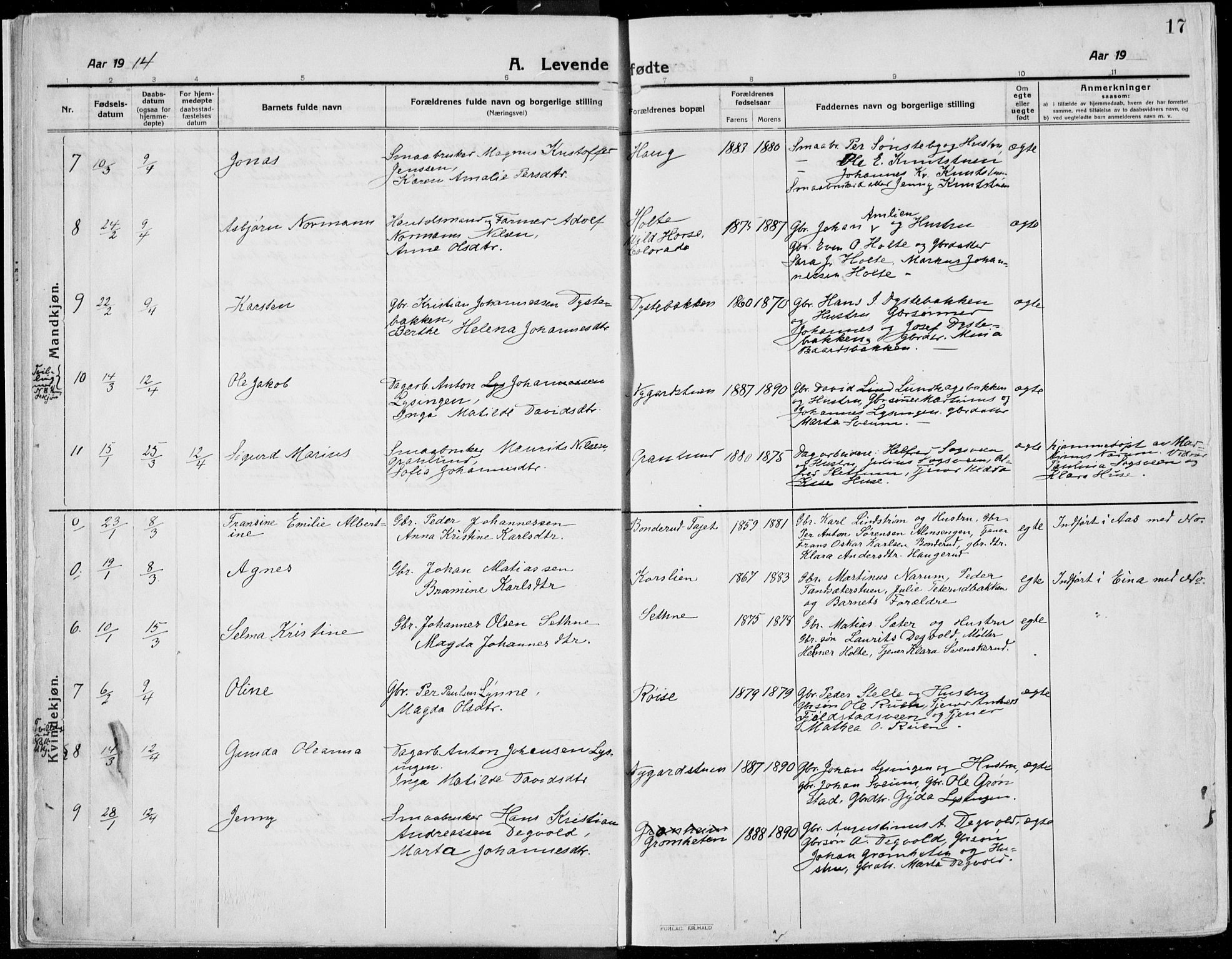 Kolbu prestekontor, SAH/PREST-110/H/Ha/Haa/L0002: Parish register (official) no. 2, 1912-1926, p. 17