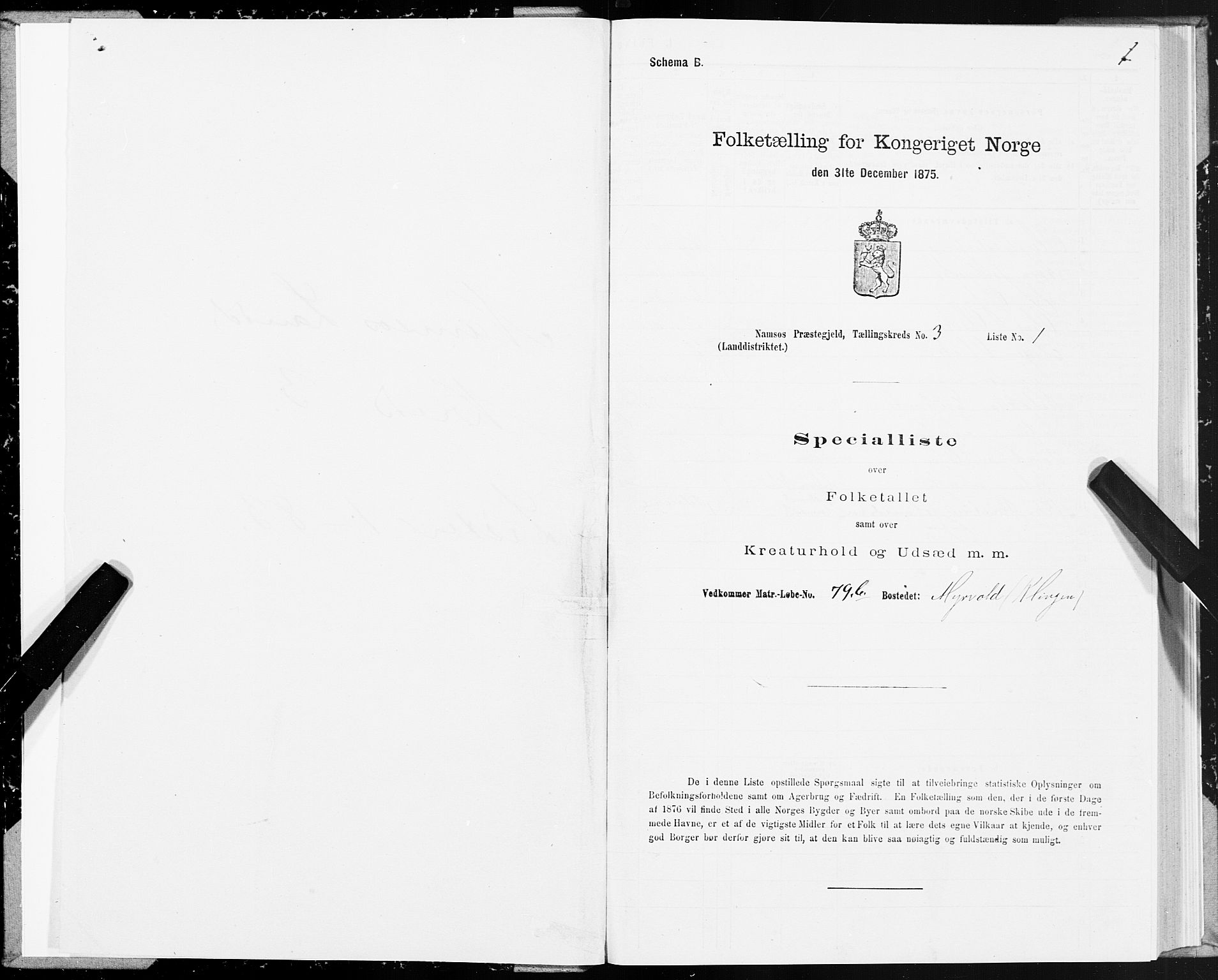 SAT, 1875 census for 1745L Namsos/Vemundvik og Sævik, 1875, p. 3001