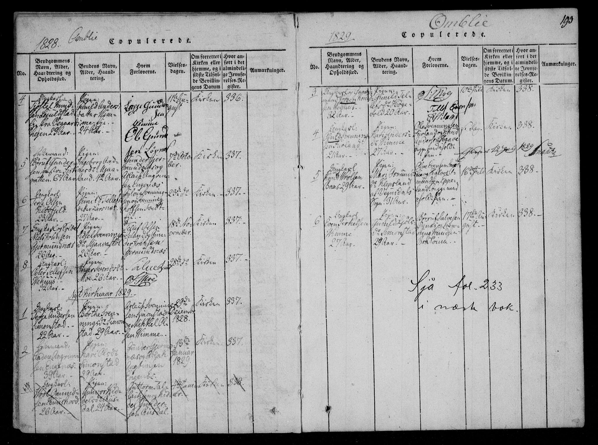 Åmli sokneprestkontor, SAK/1111-0050/F/Fa/Fac/L0006: Parish register (official) no. A 6, 1816-1829, p. 193