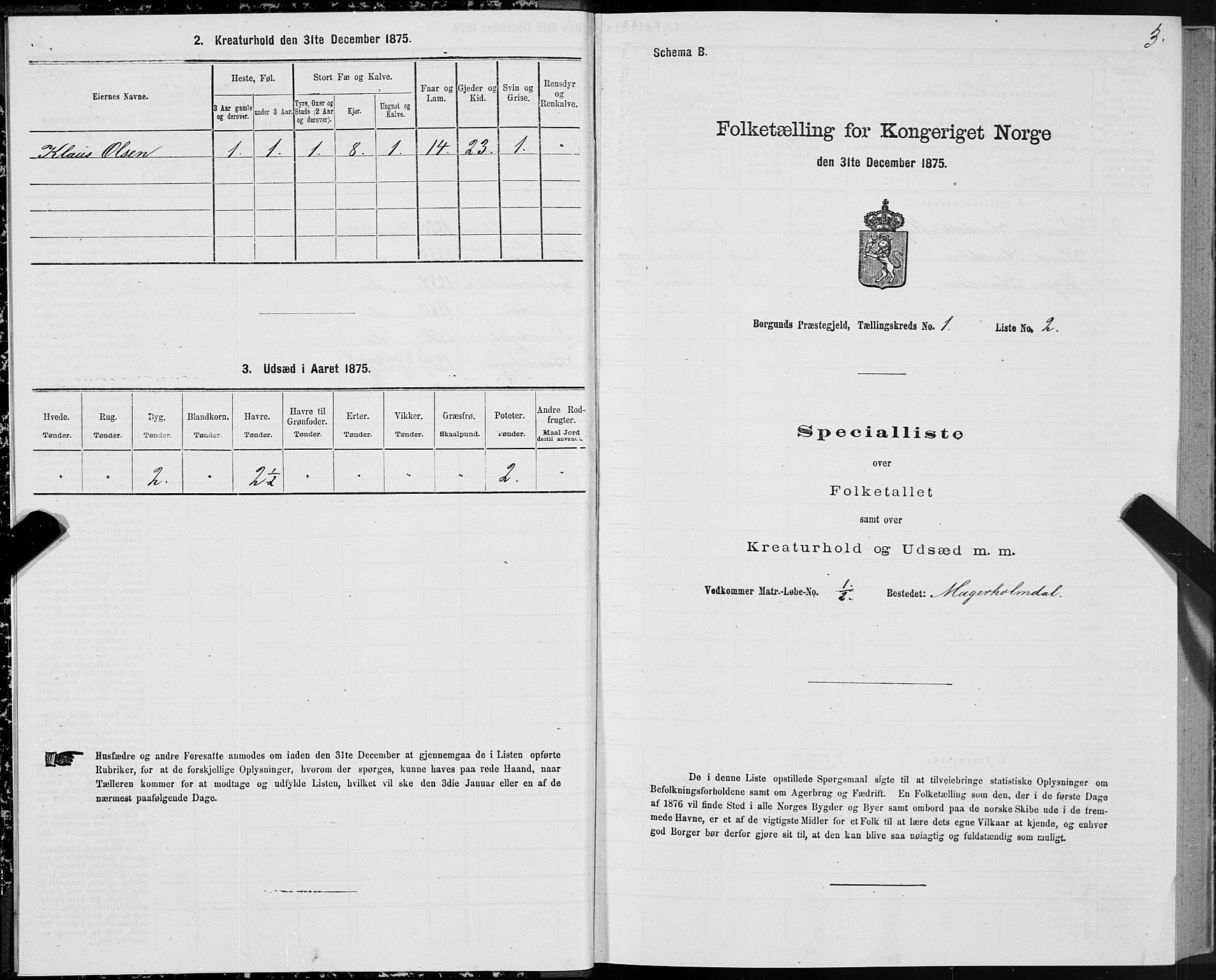 SAT, 1875 census for 1531P Borgund, 1875, p. 1003