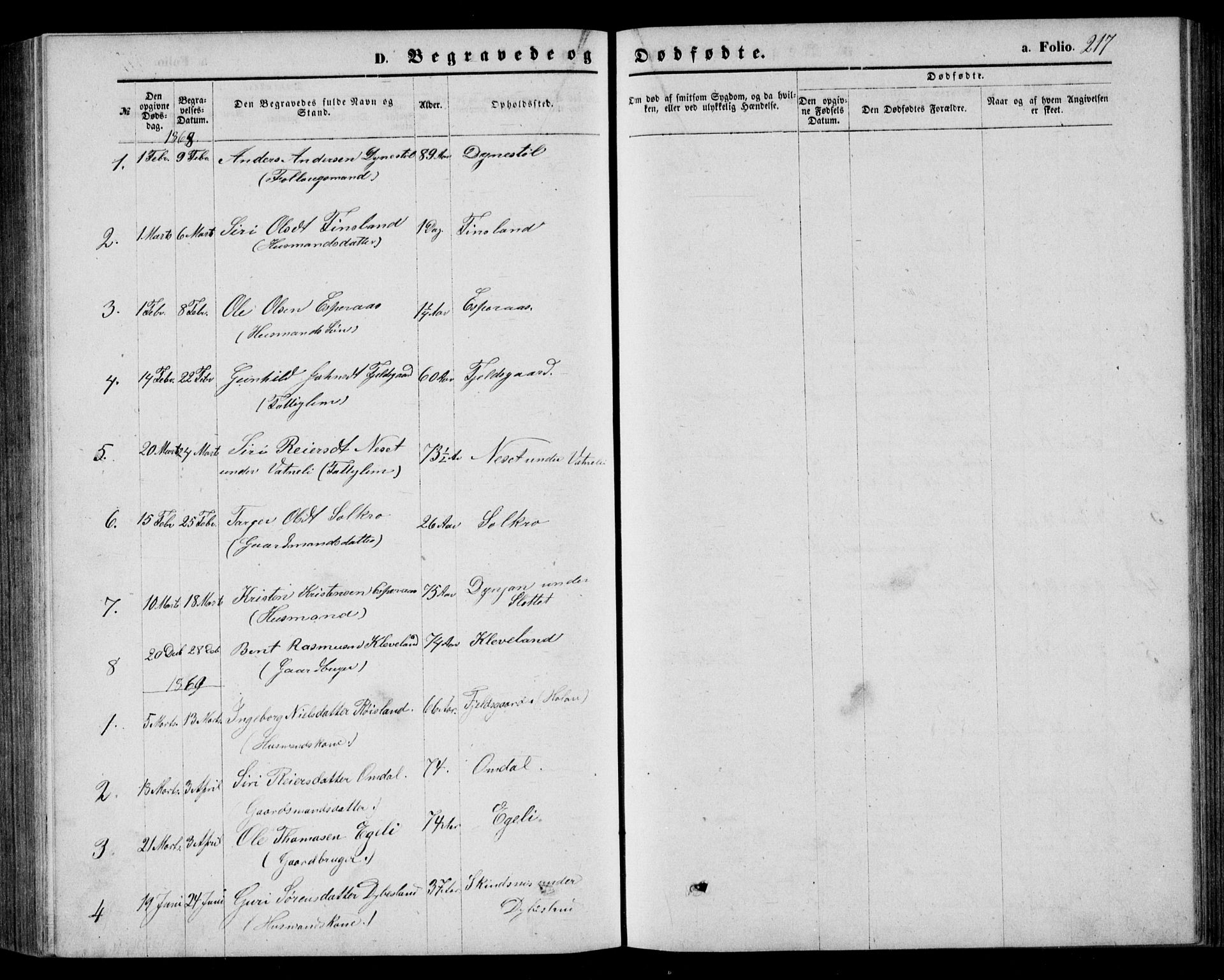 Bjelland sokneprestkontor, SAK/1111-0005/F/Fb/Fbb/L0004: Parish register (copy) no. B 4, 1867-1887, p. 217