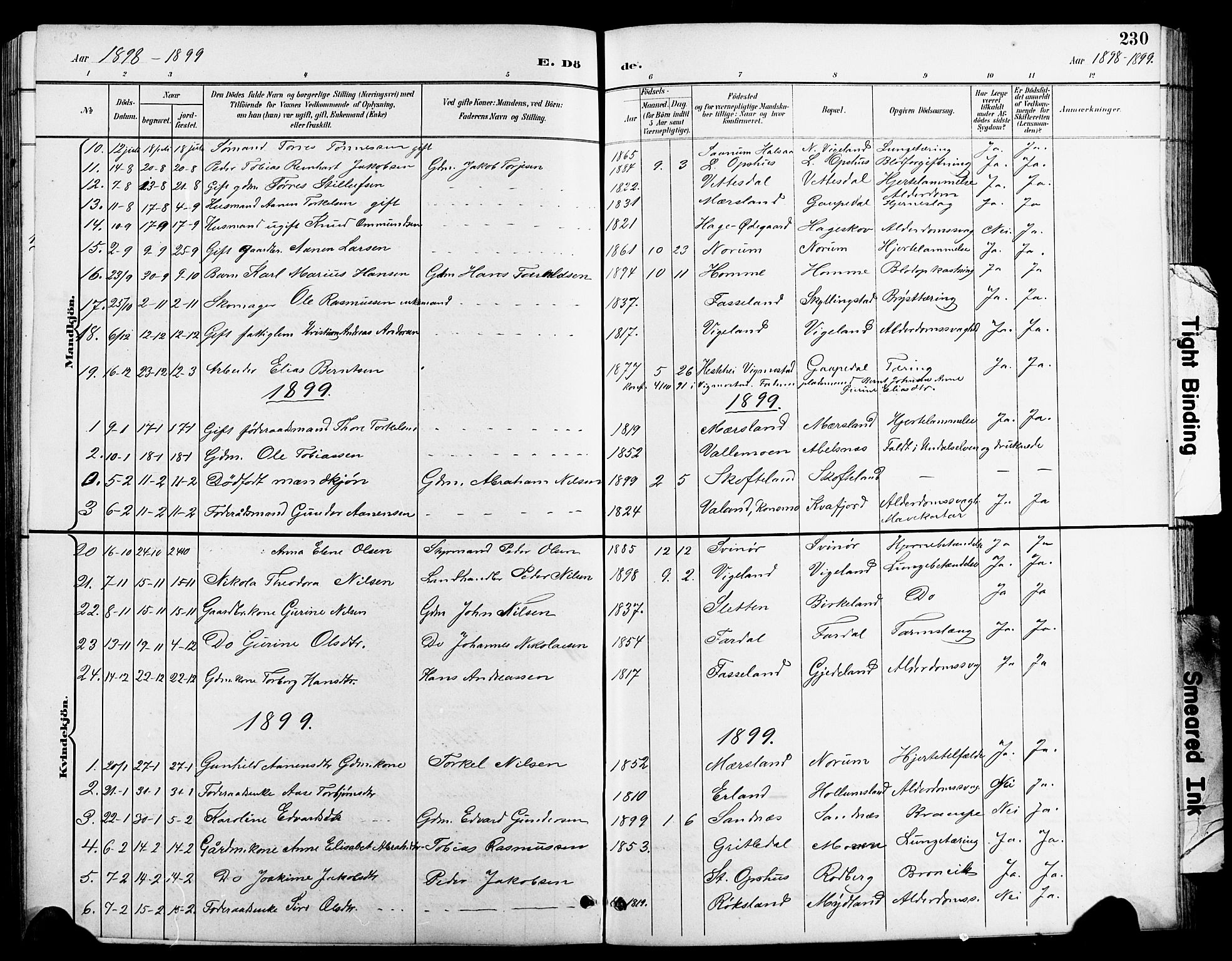 Sør-Audnedal sokneprestkontor, AV/SAK-1111-0039/F/Fb/Fbb/L0006: Parish register (copy) no. B 6, 1893-1915, p. 230