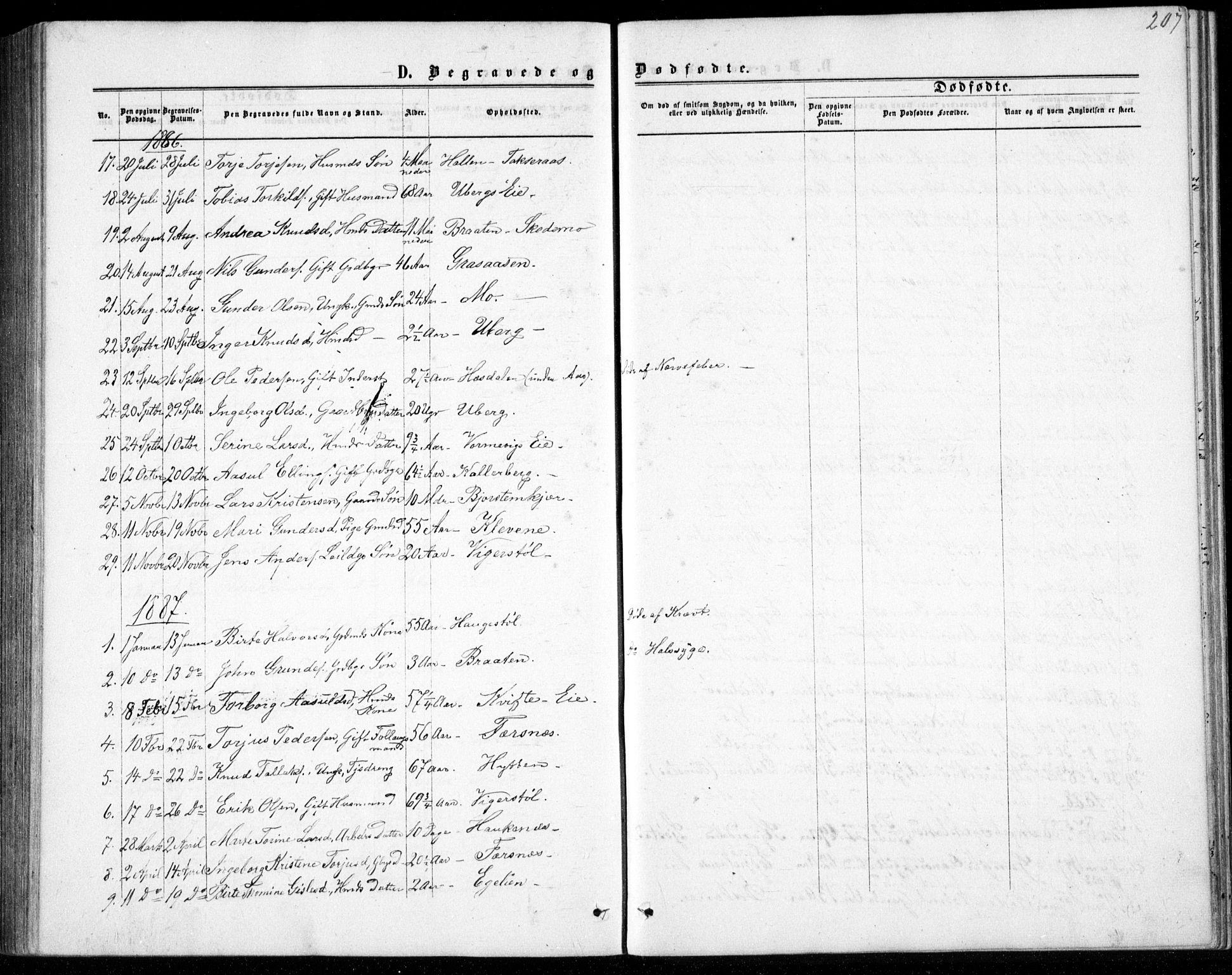 Gjerstad sokneprestkontor, AV/SAK-1111-0014/F/Fb/Fbb/L0003: Parish register (copy) no. B 3, 1862-1889, p. 207