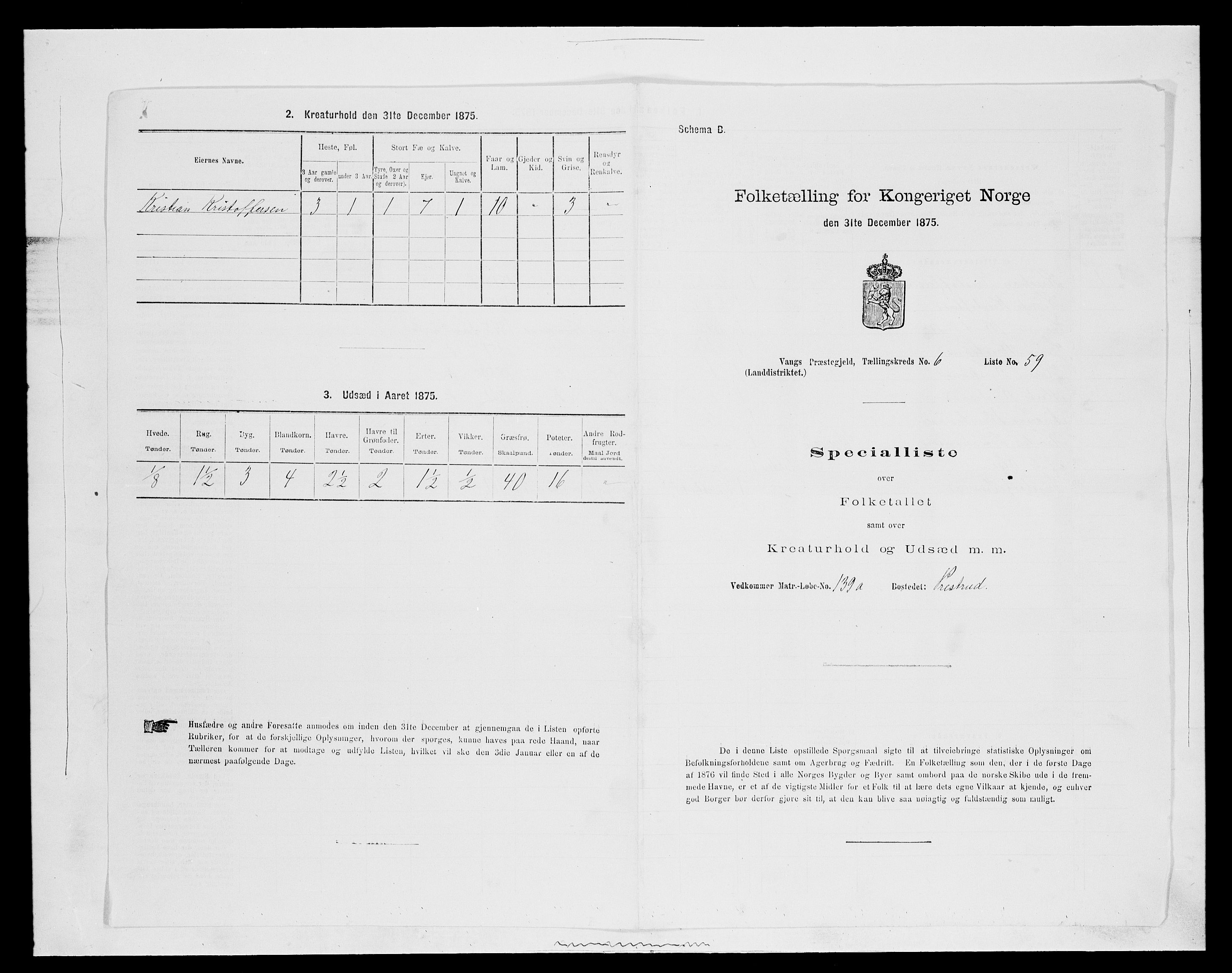 SAH, 1875 census for 0414L Vang/Vang og Furnes, 1875, p. 1393