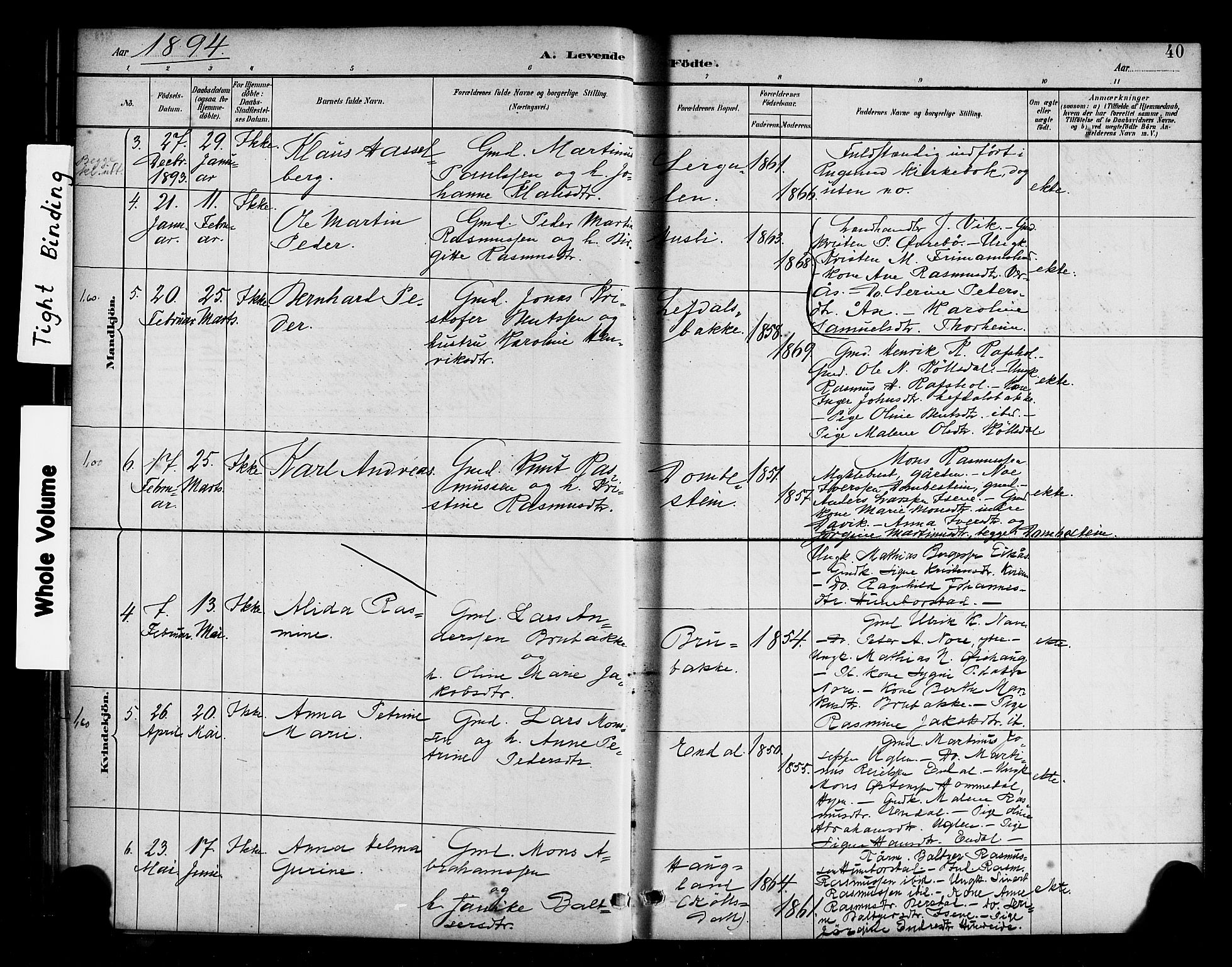 Davik sokneprestembete, AV/SAB-A-79701/H/Haa/Haab/L0001: Parish register (official) no. B 1, 1882-1900, p. 40