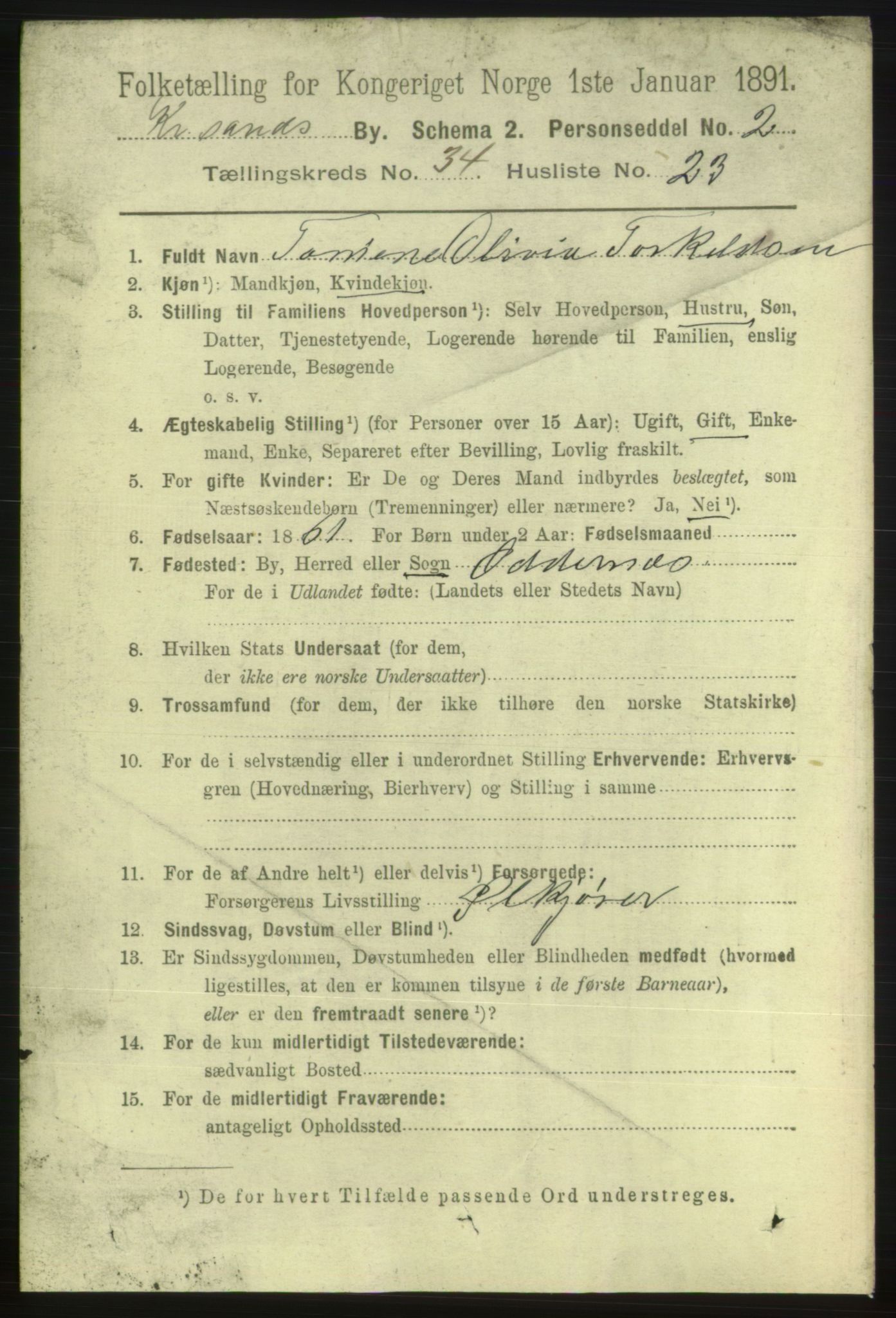 RA, 1891 census for 1001 Kristiansand, 1891, p. 11007