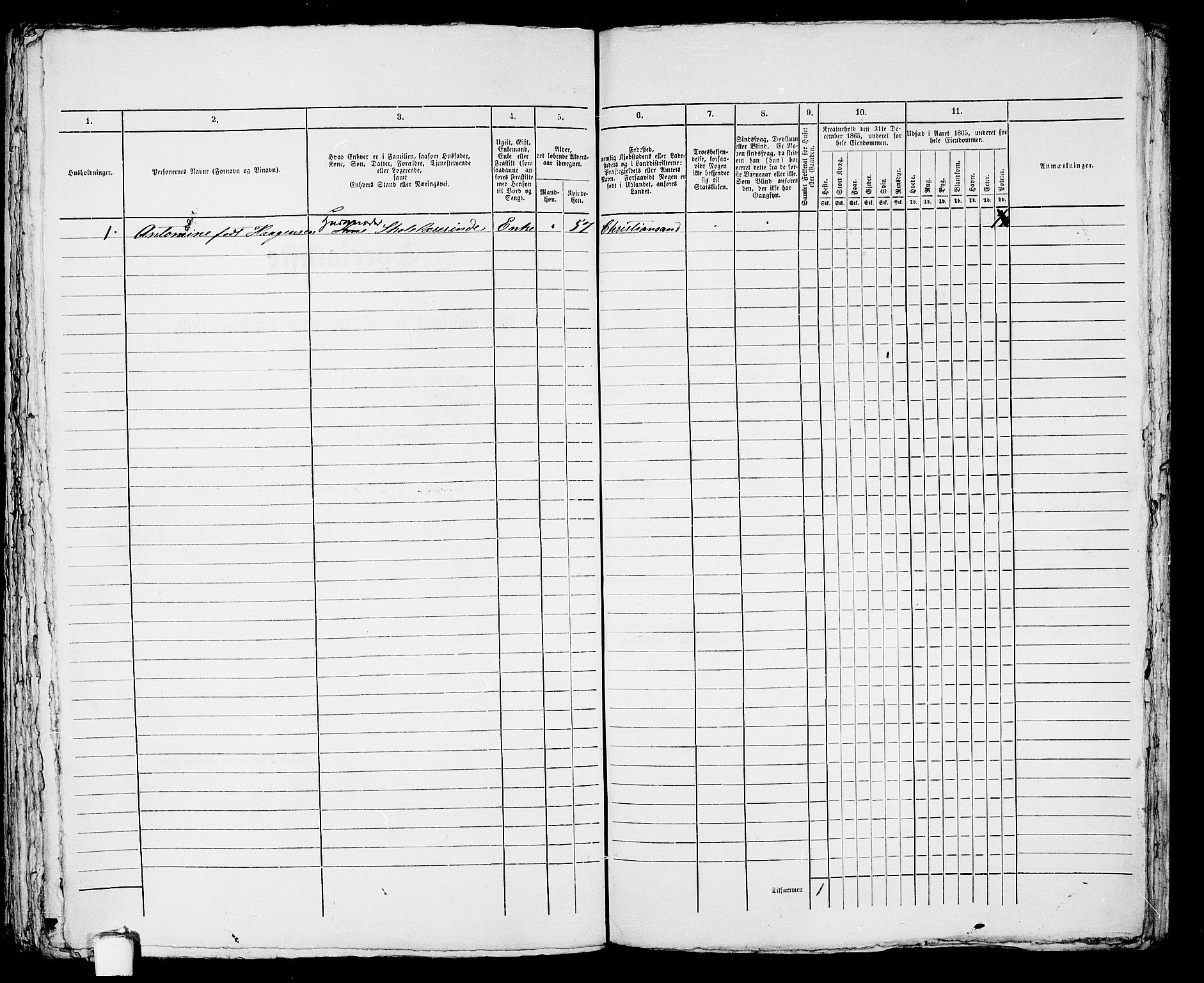 RA, 1865 census for Eigersund parish, Egersund town, 1865, p. 454