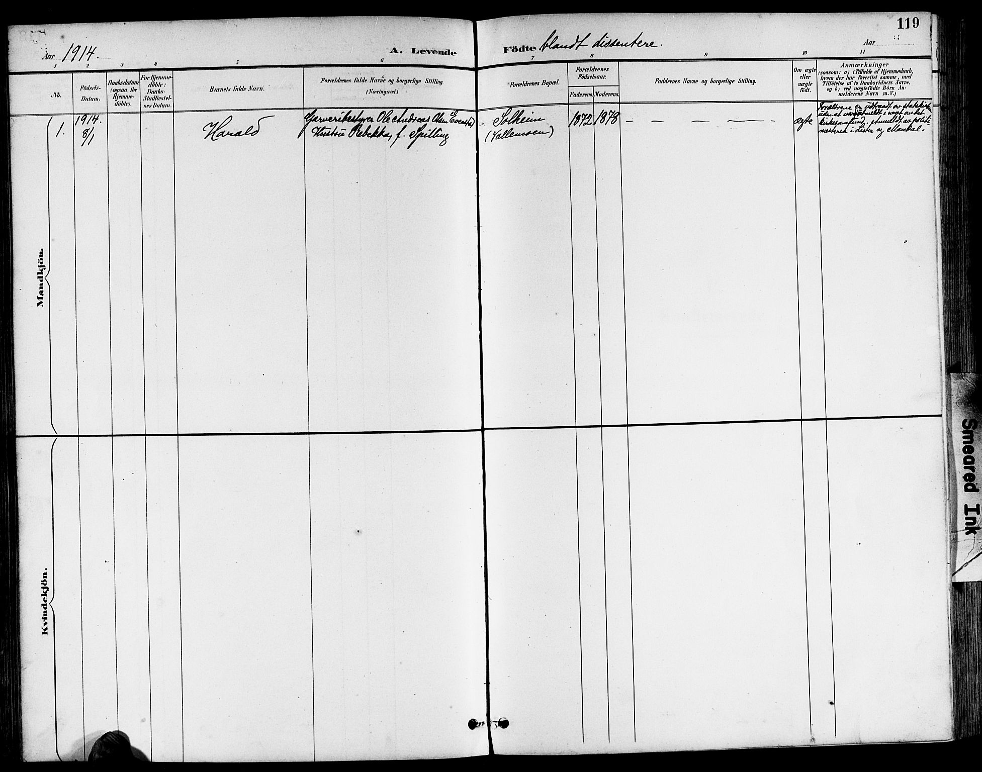 Sør-Audnedal sokneprestkontor, SAK/1111-0039/F/Fb/Fbb/L0006: Parish register (copy) no. B 6, 1893-1915, p. 119