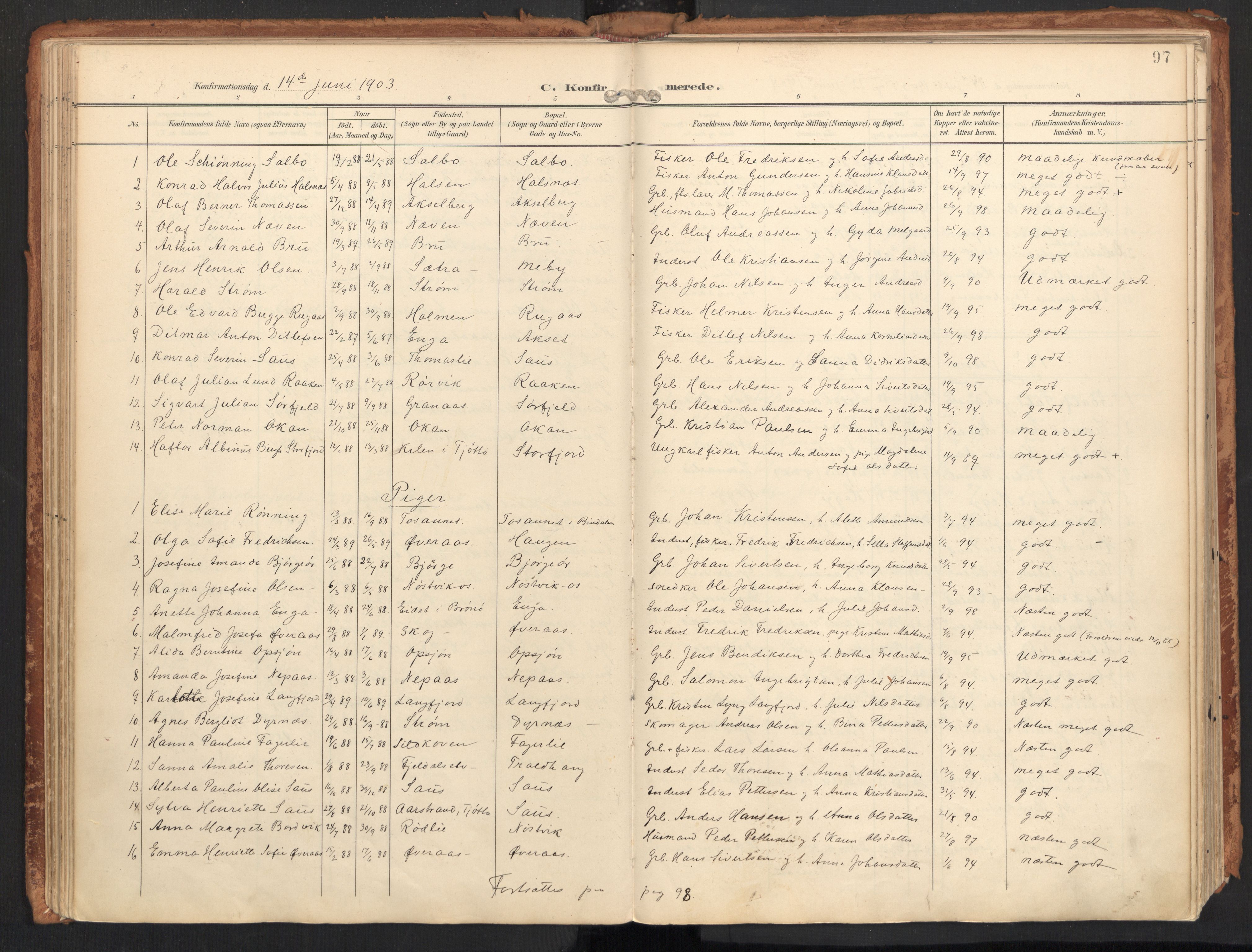 Ministerialprotokoller, klokkerbøker og fødselsregistre - Nordland, SAT/A-1459/814/L0227: Parish register (official) no. 814A08, 1899-1920, p. 97