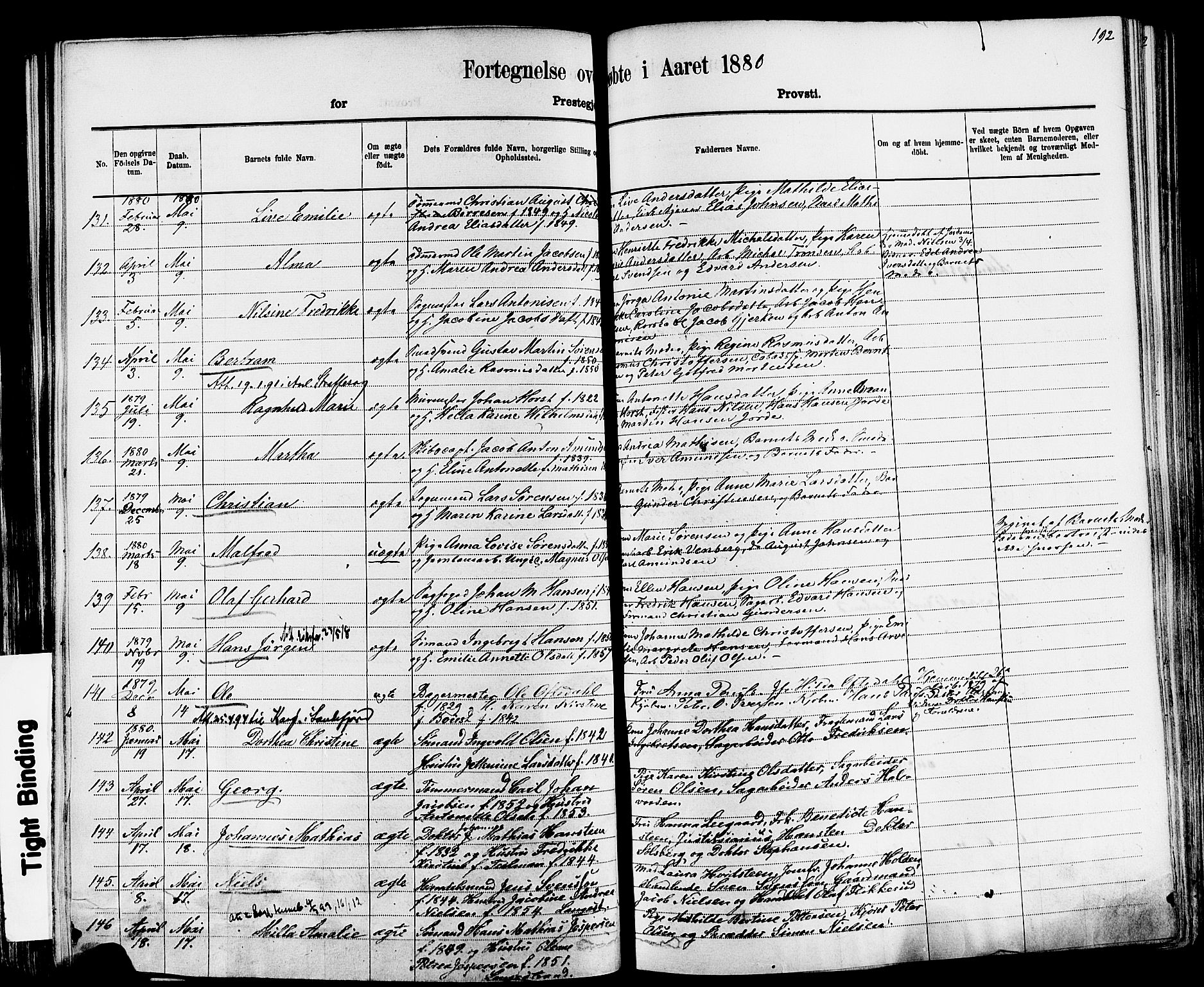 Larvik kirkebøker, AV/SAKO-A-352/F/Fa/L0006: Parish register (official) no. I 6, 1871-1883, p. 192