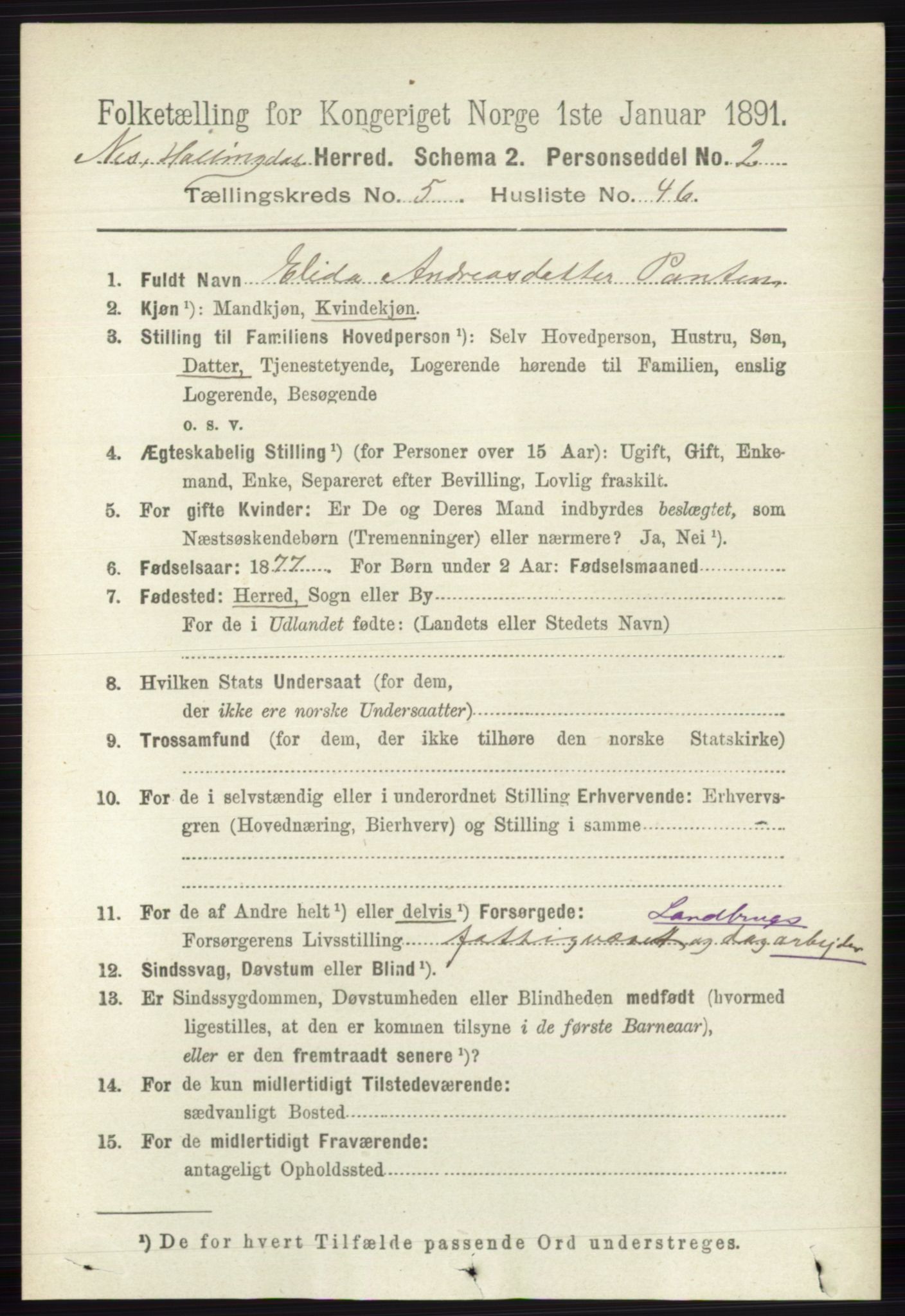 RA, 1891 census for 0616 Nes, 1891, p. 2876