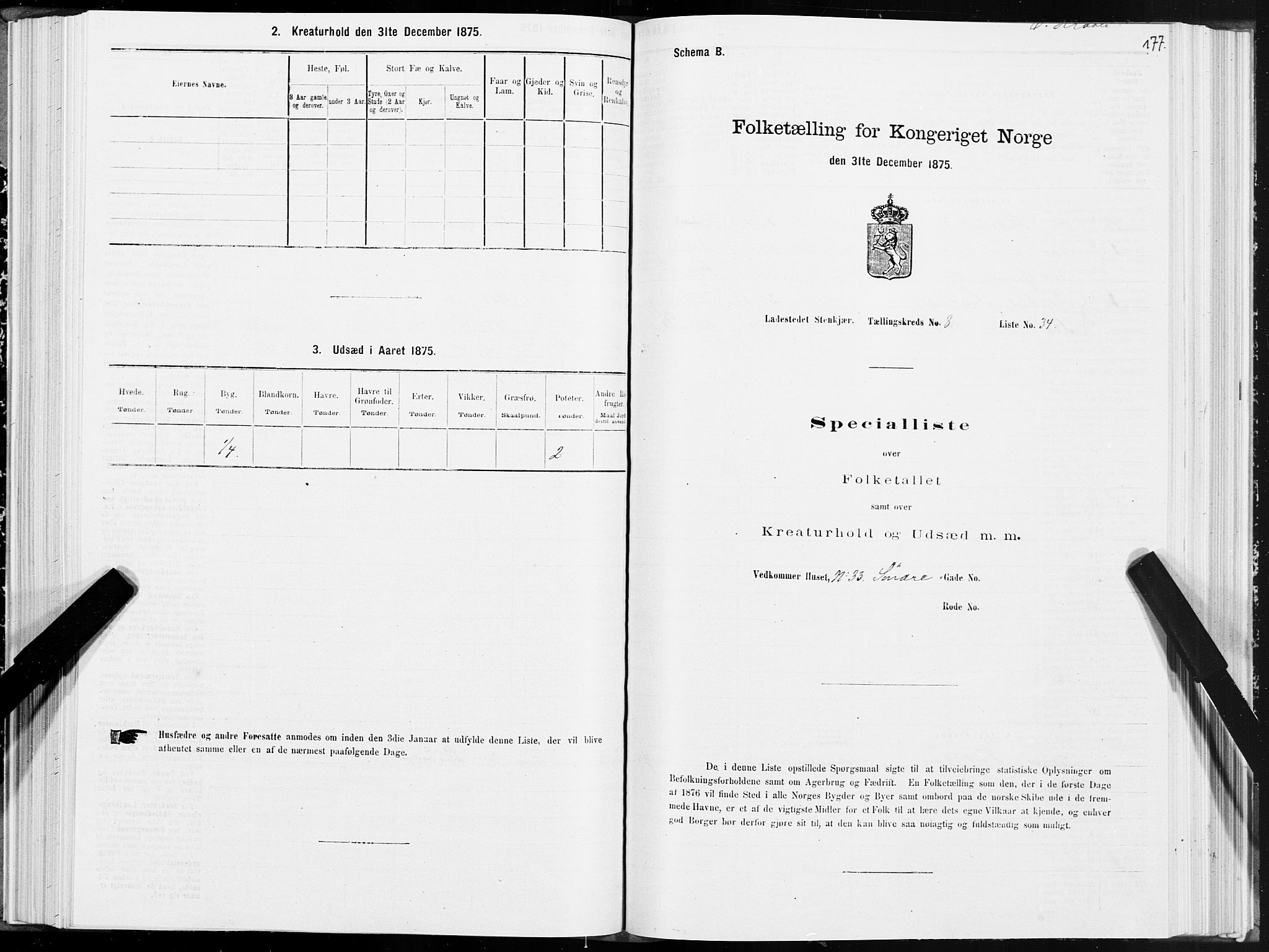 SAT, 1875 census for 1702B Steinkjer/Steinkjer, 1875, p. 177