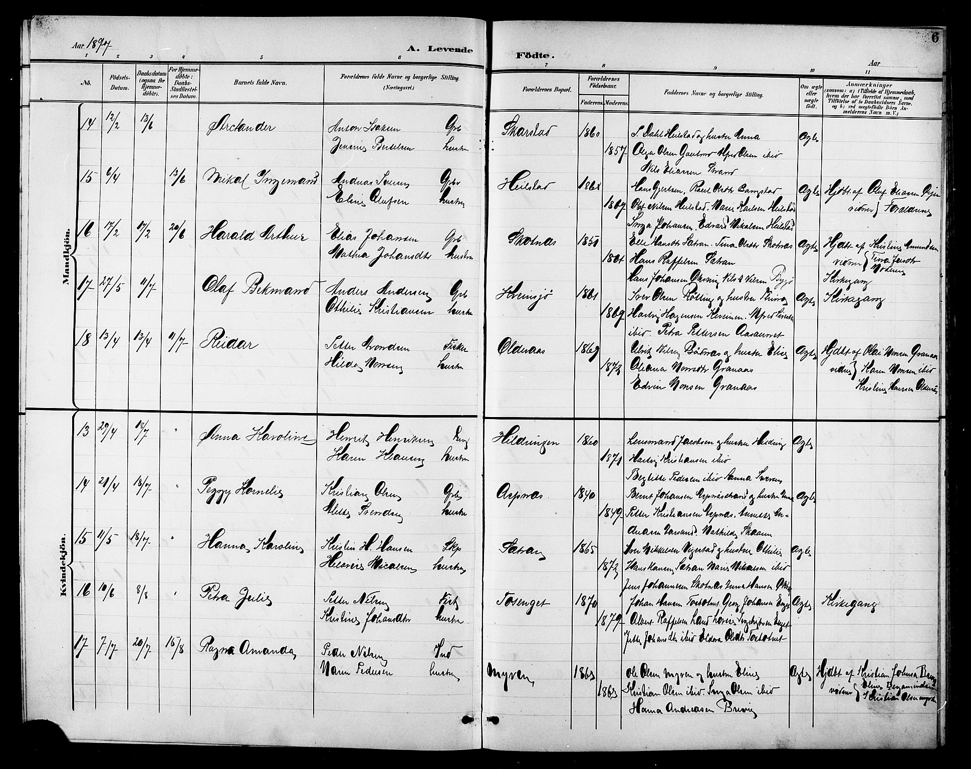 Ministerialprotokoller, klokkerbøker og fødselsregistre - Nordland, AV/SAT-A-1459/810/L0161: Parish register (copy) no. 810C04, 1897-1910, p. 6