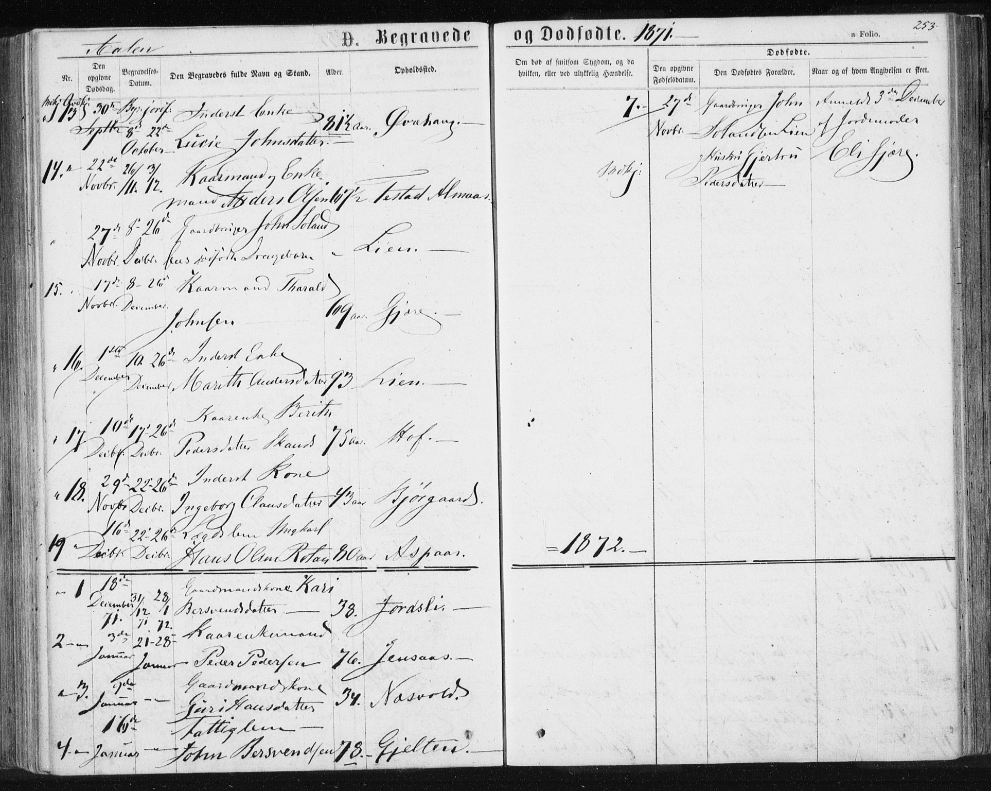 Ministerialprotokoller, klokkerbøker og fødselsregistre - Sør-Trøndelag, AV/SAT-A-1456/685/L0971: Parish register (official) no. 685A08 /3, 1870-1879, p. 253