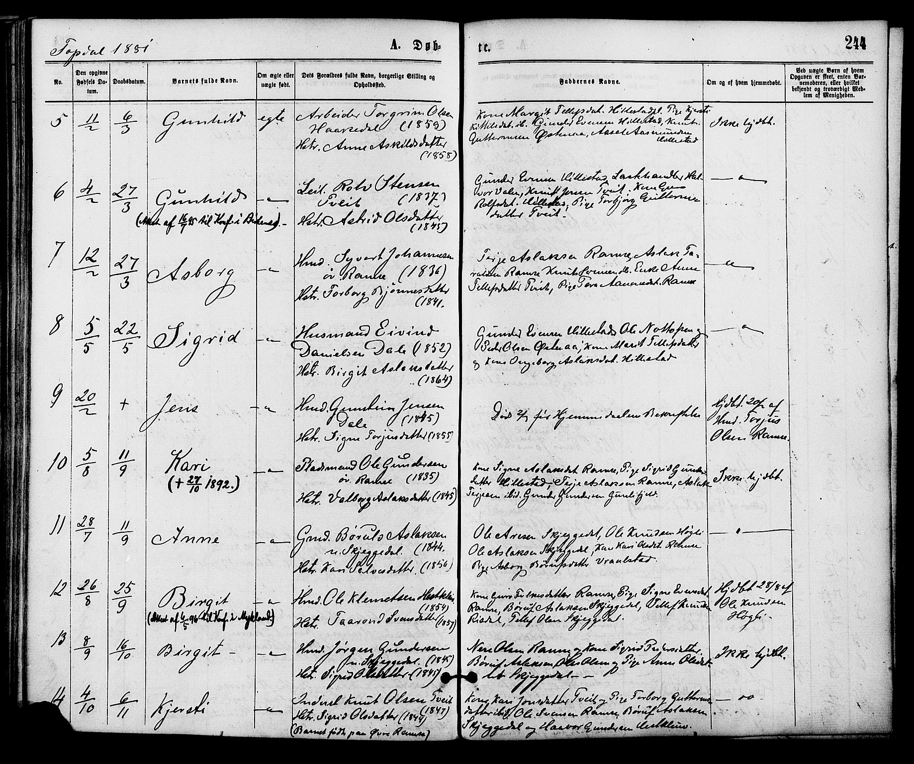 Åmli sokneprestkontor, SAK/1111-0050/F/Fa/Fac/L0009: Parish register (official) no. A 9 /3, 1869-1884, p. 244