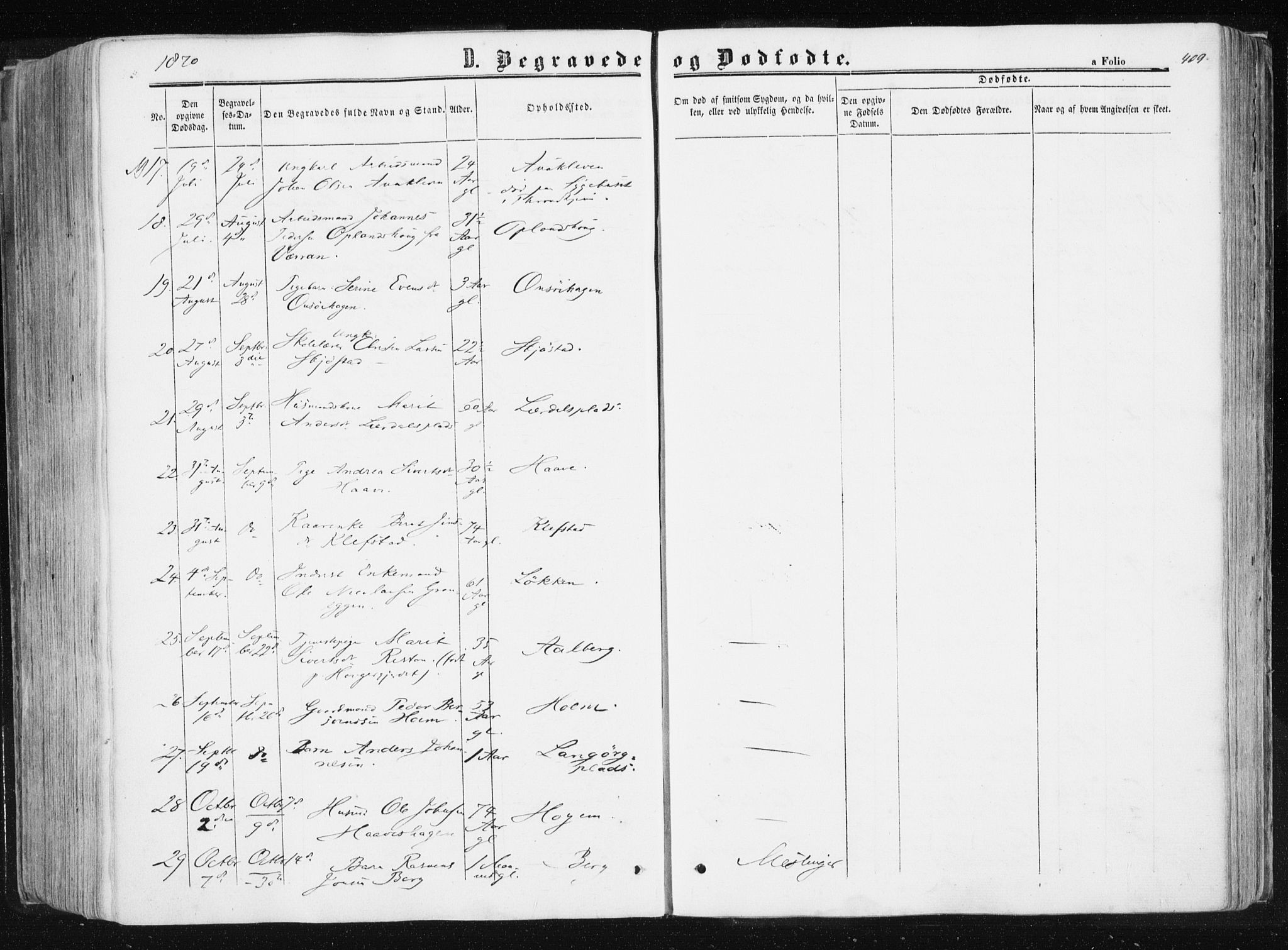 Ministerialprotokoller, klokkerbøker og fødselsregistre - Sør-Trøndelag, SAT/A-1456/612/L0377: Parish register (official) no. 612A09, 1859-1877, p. 409