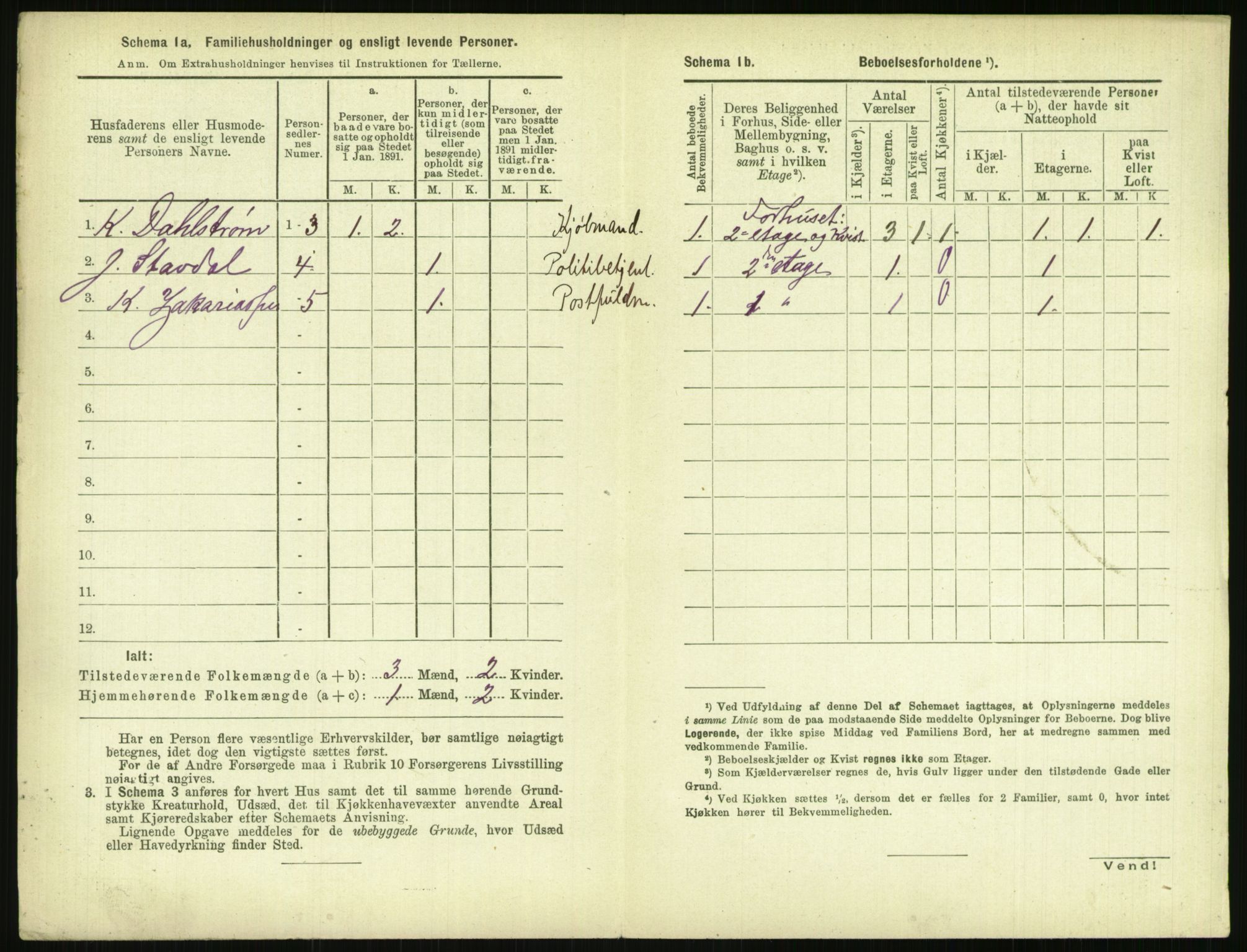 RA, 1891 census for 0806 Skien, 1891, p. 1071