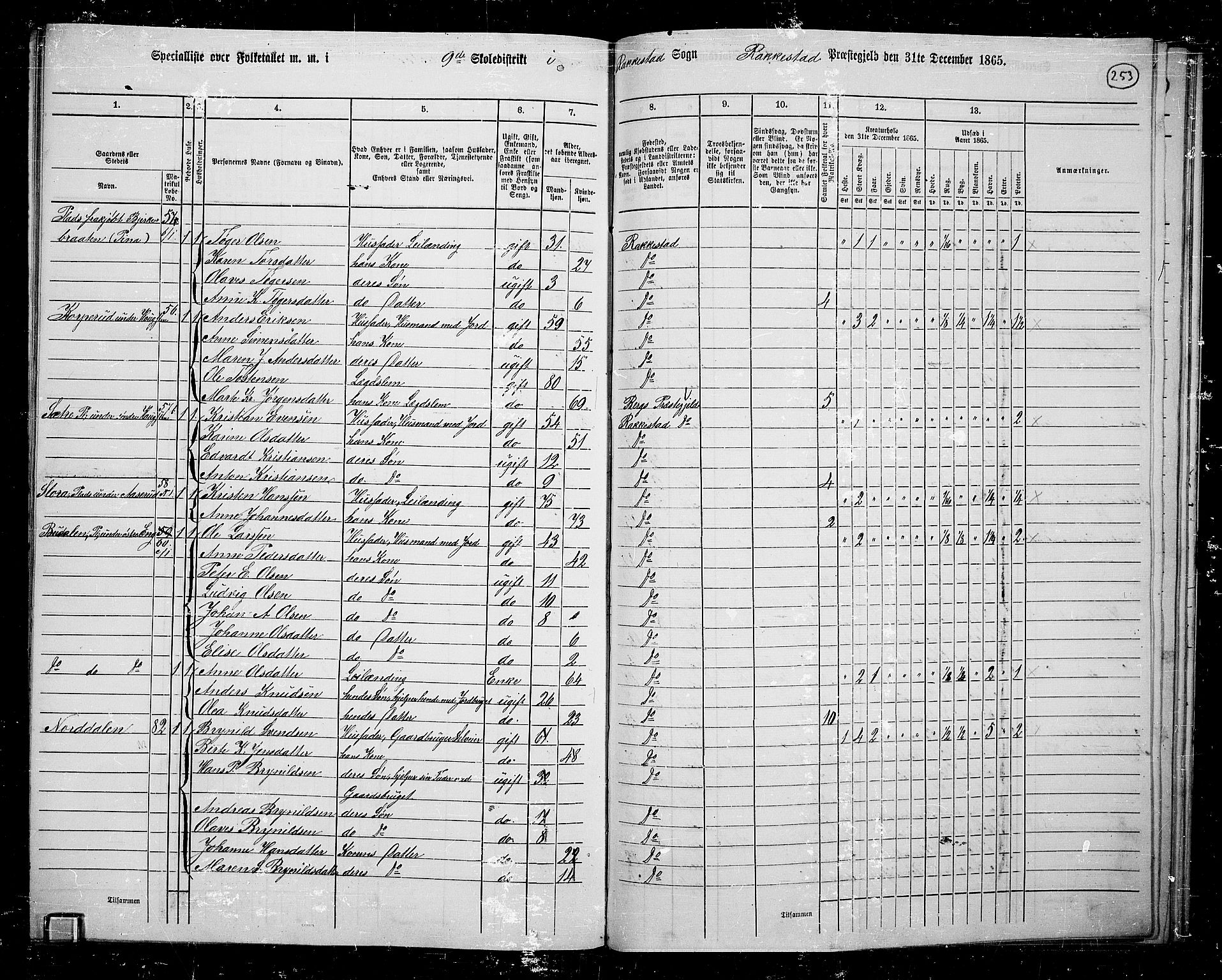 RA, 1865 census for Rakkestad, 1865, p. 242