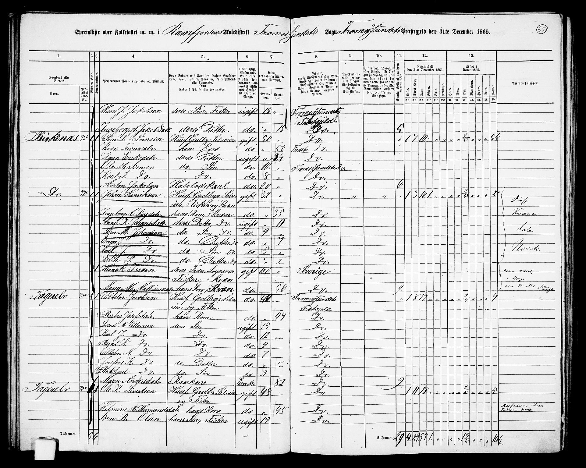 RA, 1865 census for Tromsøysund, 1865, p. 50