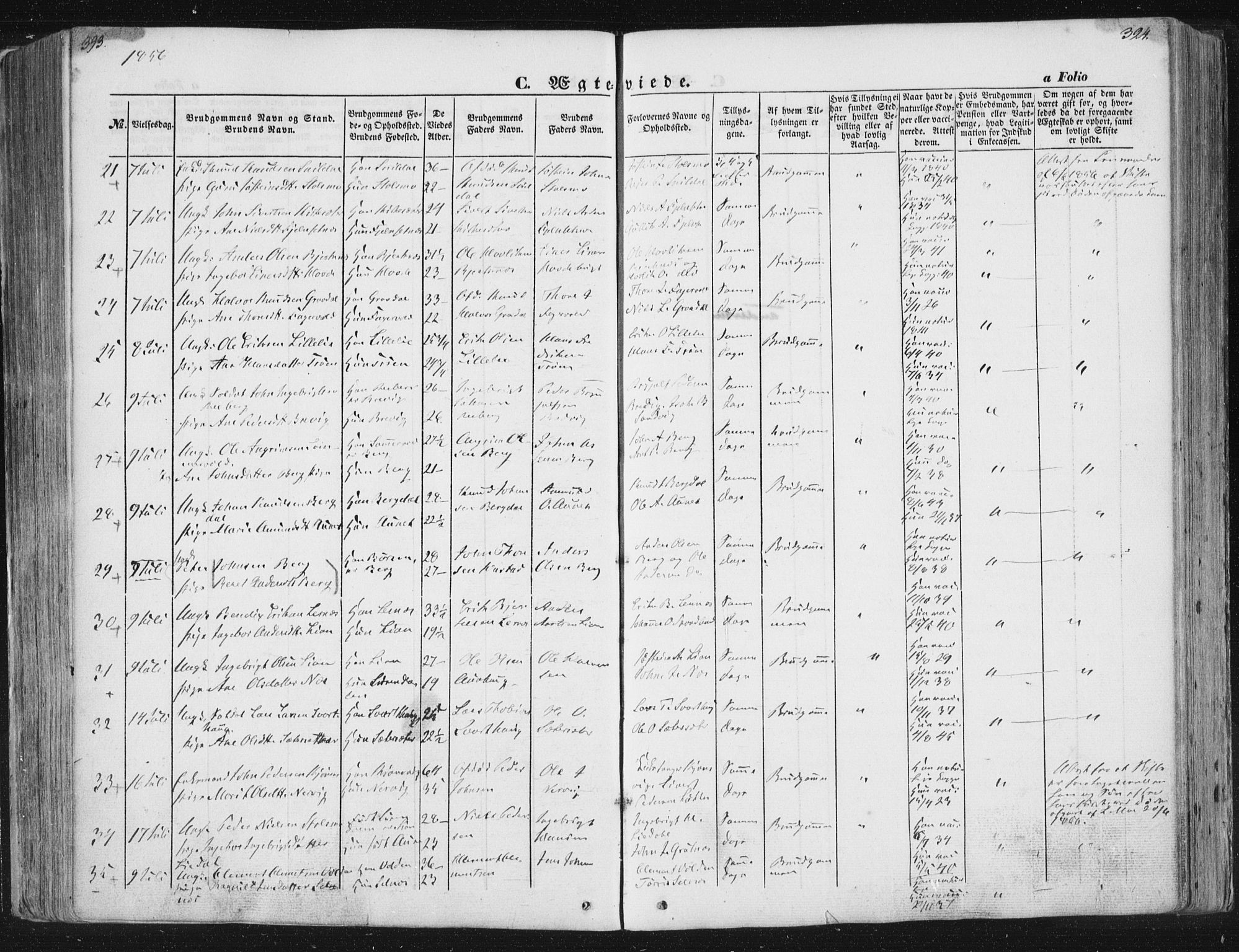 Ministerialprotokoller, klokkerbøker og fødselsregistre - Sør-Trøndelag, SAT/A-1456/630/L0494: Parish register (official) no. 630A07, 1852-1868, p. 393-394