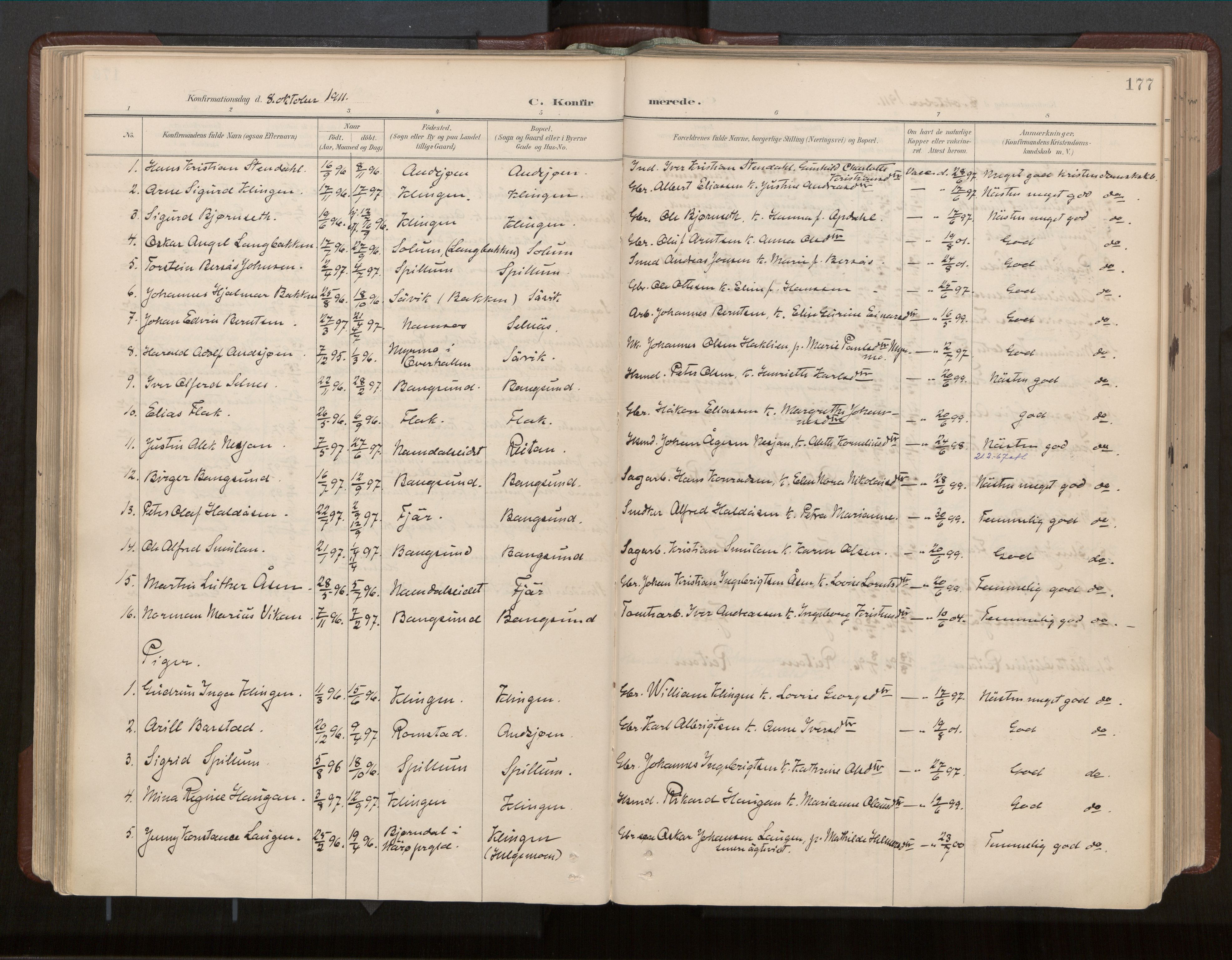 Ministerialprotokoller, klokkerbøker og fødselsregistre - Nord-Trøndelag, AV/SAT-A-1458/770/L0589: Parish register (official) no. 770A03, 1887-1929, p. 177