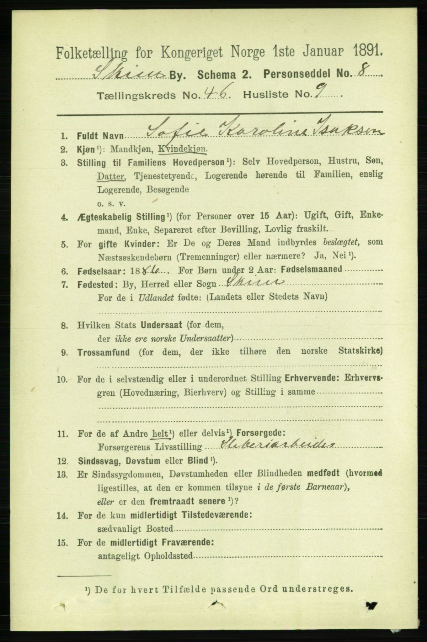 RA, 1891 census for 0806 Skien, 1891, p. 9203