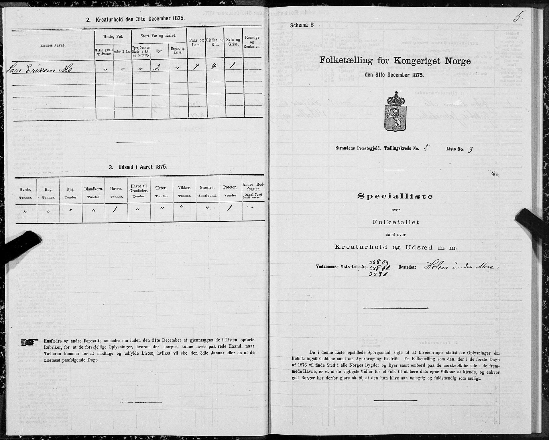 SAT, 1875 census for 1525P Stranda, 1875, p. 3005