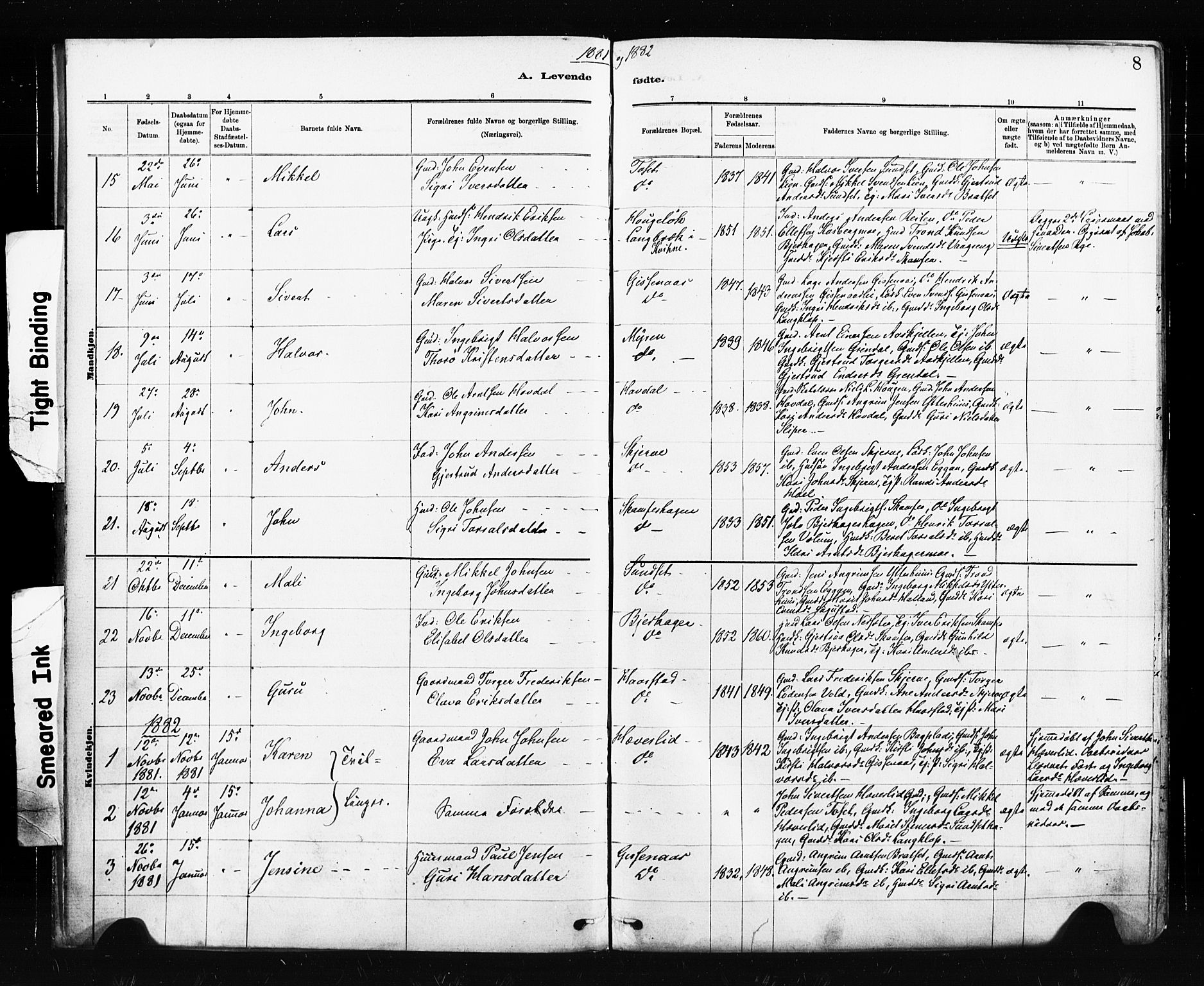 Ministerialprotokoller, klokkerbøker og fødselsregistre - Sør-Trøndelag, SAT/A-1456/674/L0871: Parish register (official) no. 674A03, 1880-1896, p. 8