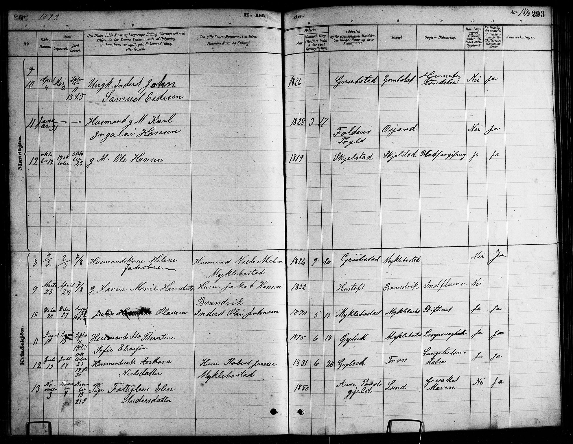 Ministerialprotokoller, klokkerbøker og fødselsregistre - Nordland, AV/SAT-A-1459/857/L0828: Parish register (copy) no. 857C03, 1879-1908, p. 293