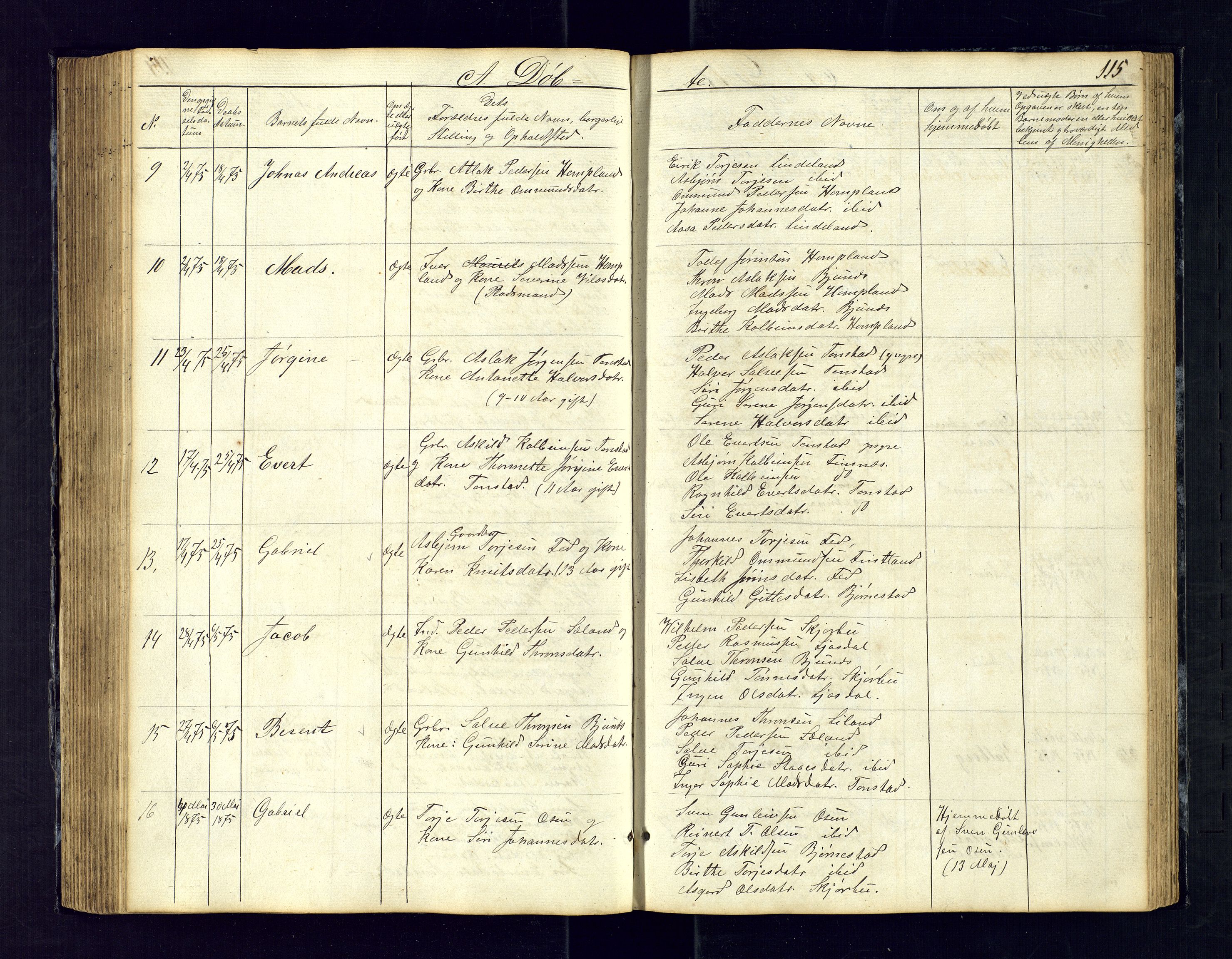 Sirdal sokneprestkontor, AV/SAK-1111-0036/F/Fb/Fbb/L0002: Parish register (copy) no. B-2, 1848-1878, p. 115