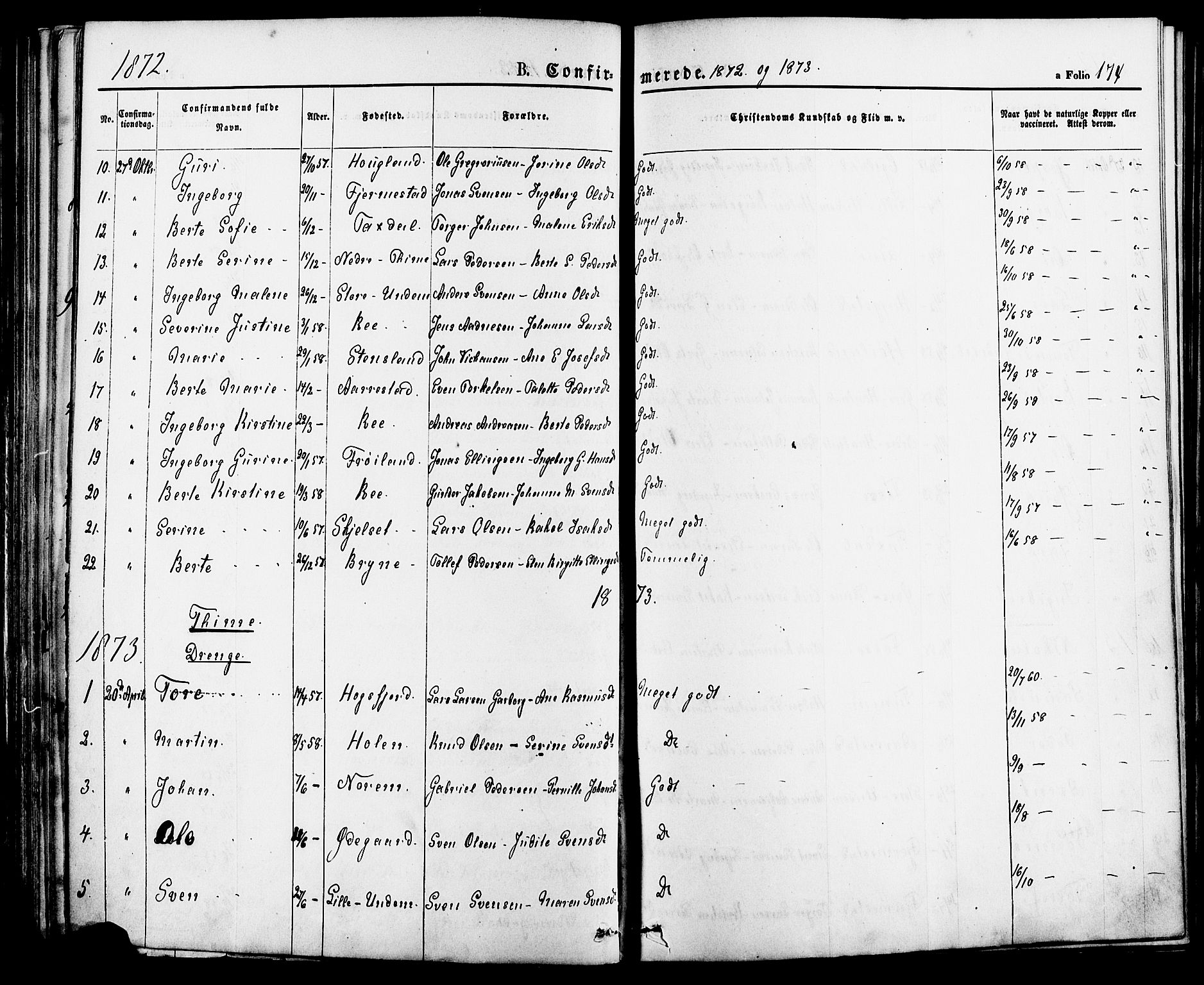 Lye sokneprestkontor, SAST/A-101794/001/30BA/L0008: Parish register (official) no. A 7, 1872-1881, p. 174