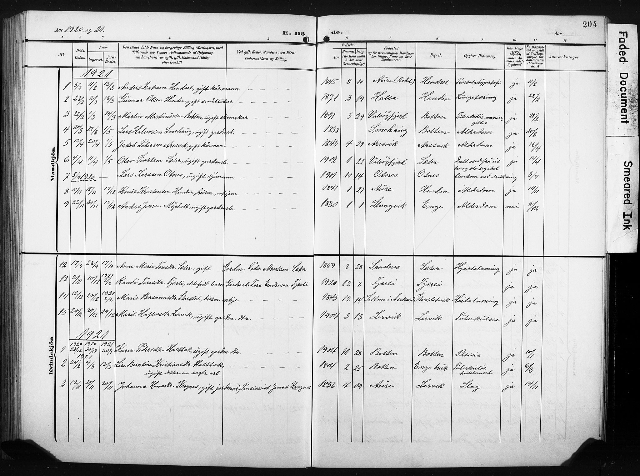 Ministerialprotokoller, klokkerbøker og fødselsregistre - Møre og Romsdal, AV/SAT-A-1454/580/L0927: Parish register (copy) no. 580C02, 1904-1932, p. 204