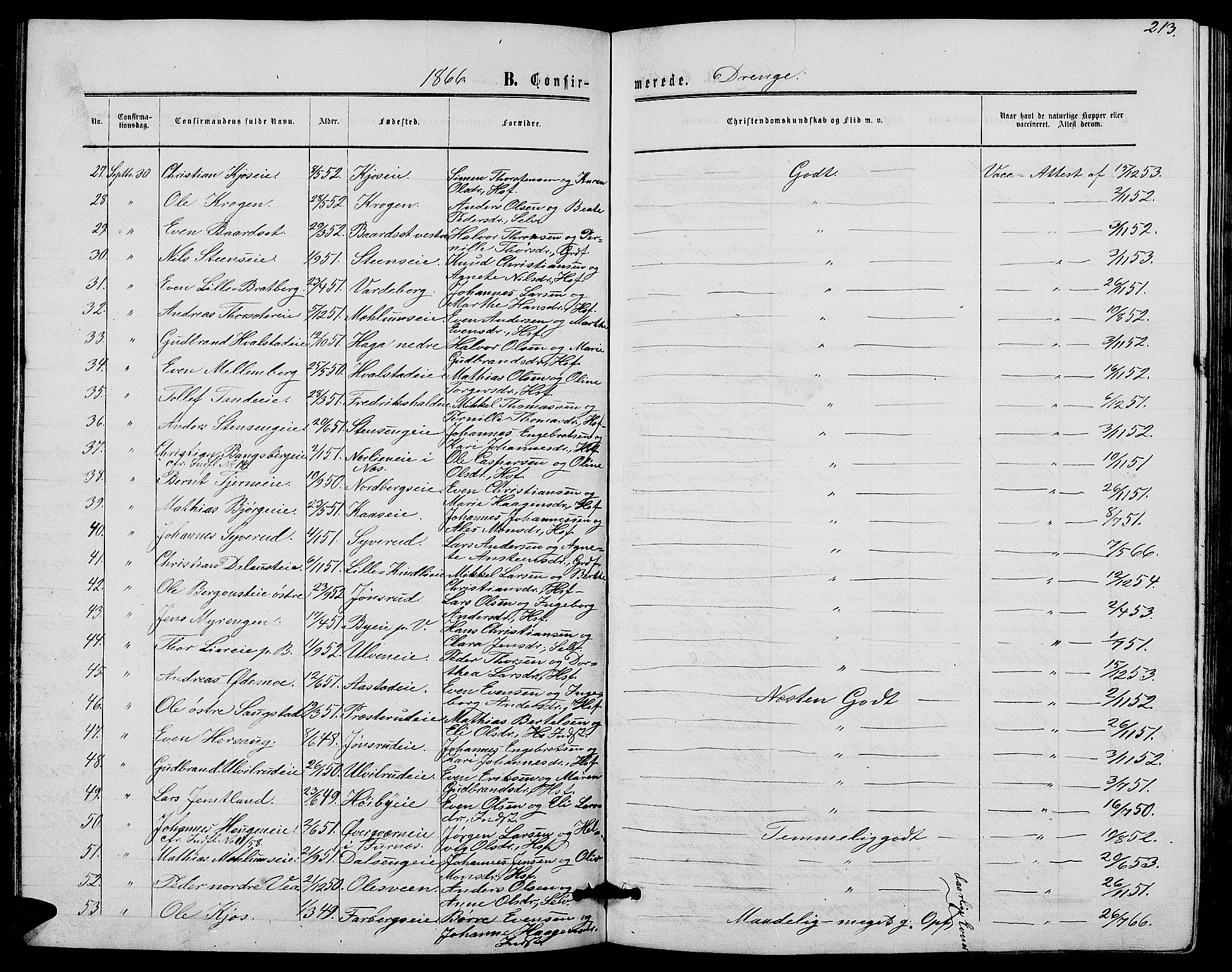 Ringsaker prestekontor, AV/SAH-PREST-014/L/La/L0007: Parish register (copy) no. 7, 1861-1869, p. 213