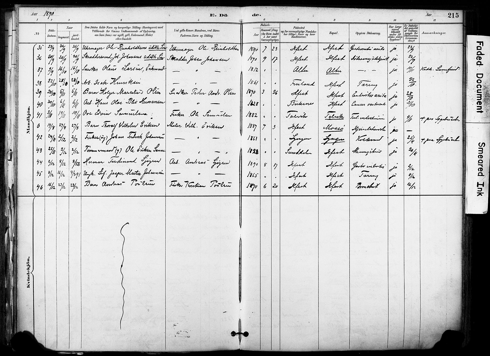 Hammerfest sokneprestkontor, AV/SATØ-S-1347/H/Ha/L0009.kirke: Parish register (official) no. 9, 1889-1897, p. 215