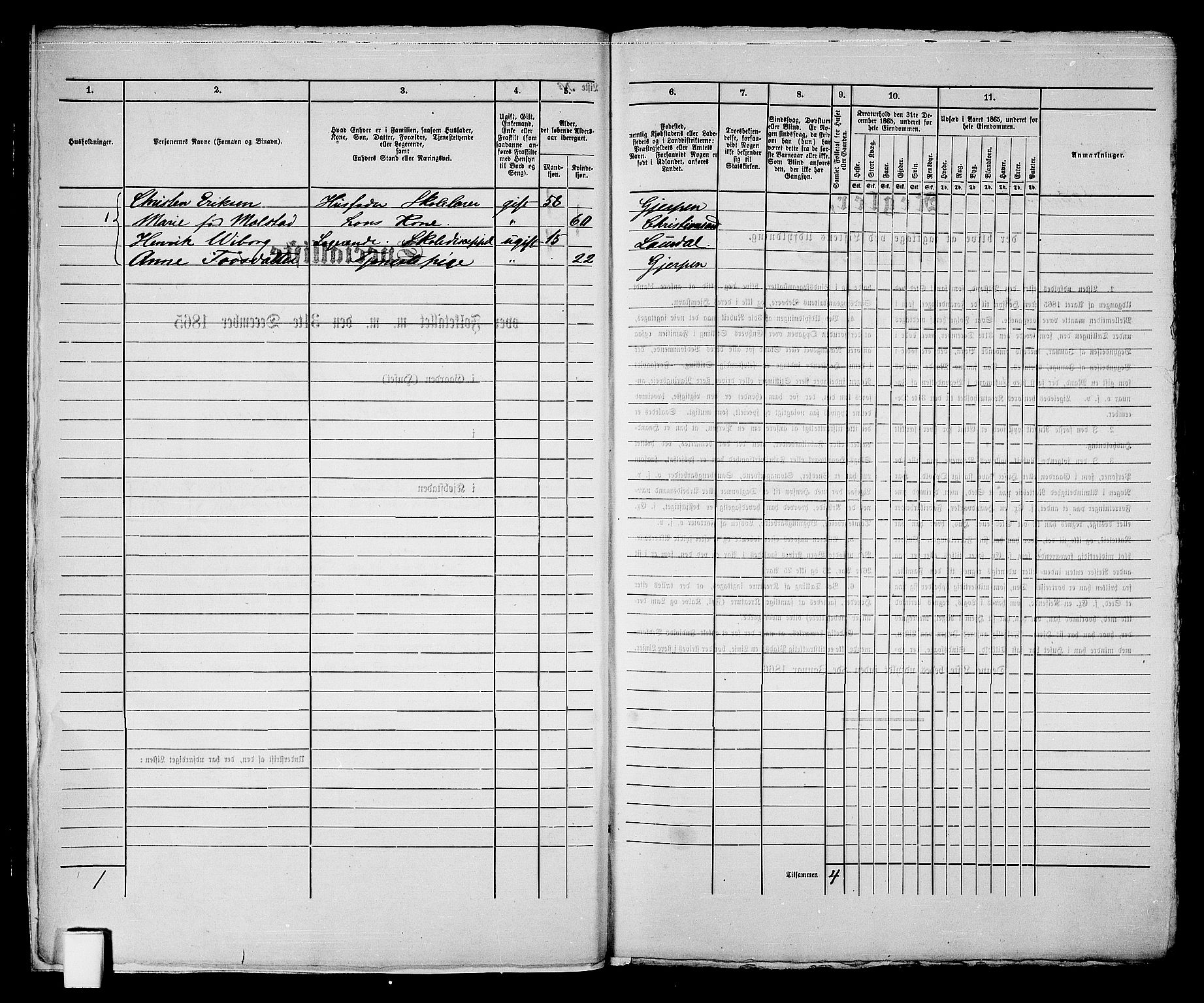 RA, 1865 census for Skien, 1865, p. 417