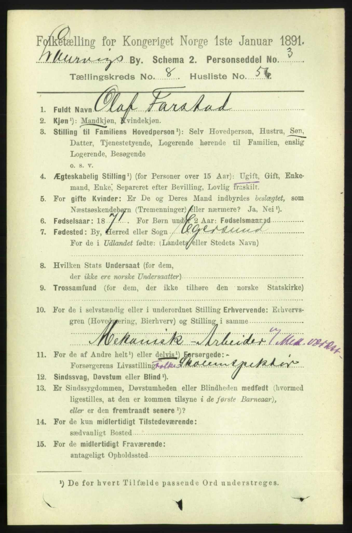 RA, 1891 census for 0707 Larvik, 1891, p. 8490