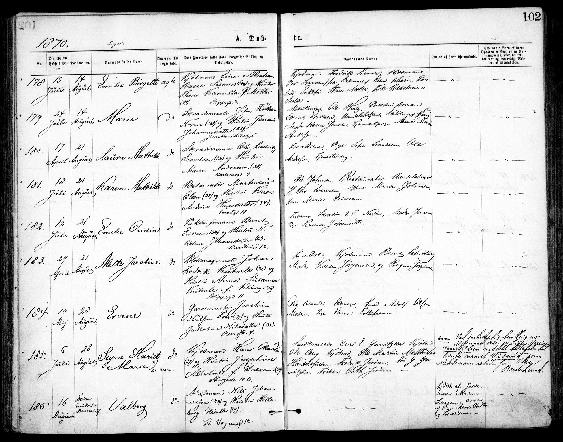 Oslo domkirke Kirkebøker, SAO/A-10752/F/Fa/L0017: Parish register (official) no. 17, 1869-1878, p. 102